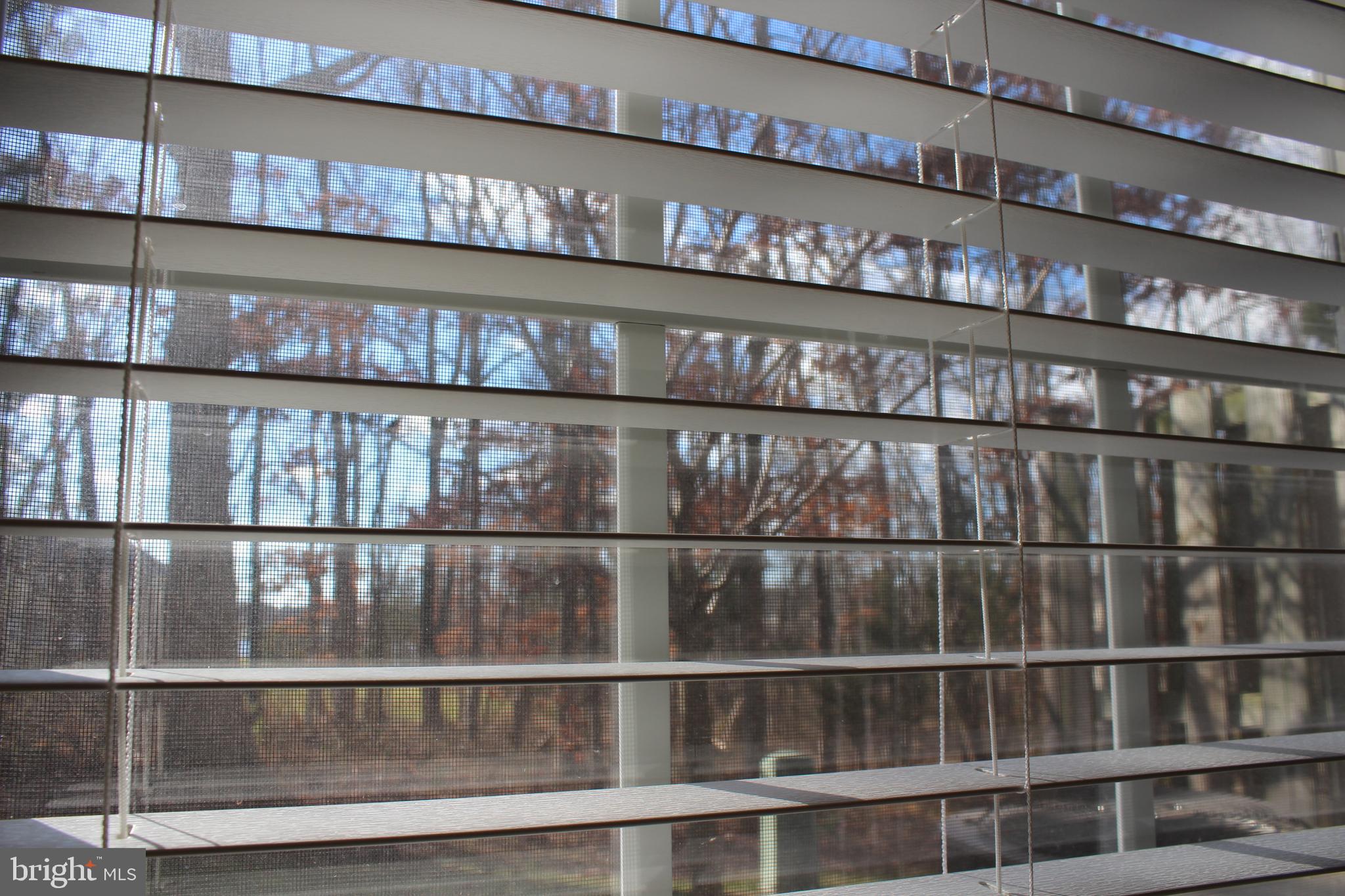 INDEPENDENCE - Residential Lease