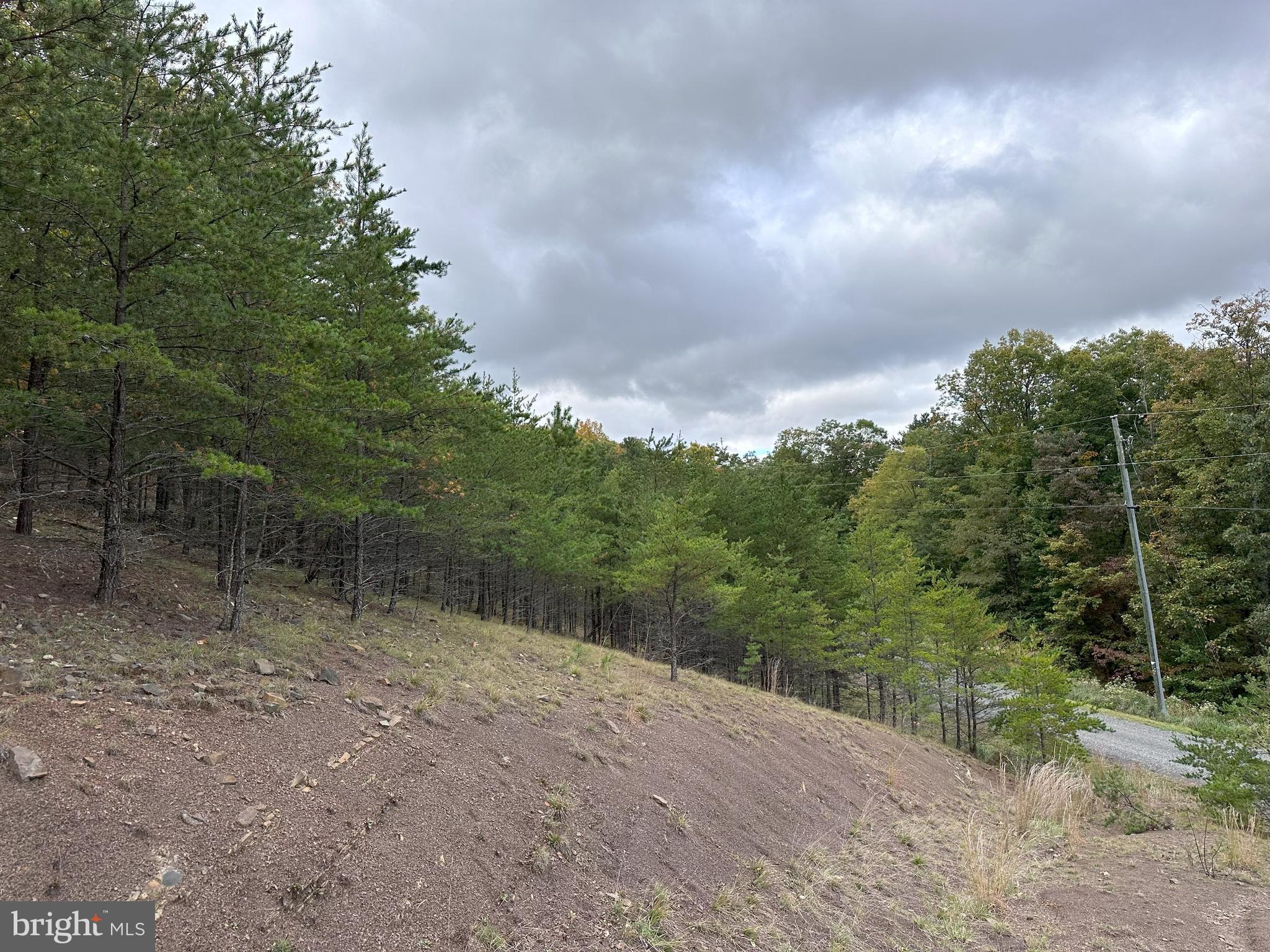 CARDINAL RIDGE ESTATES - Land