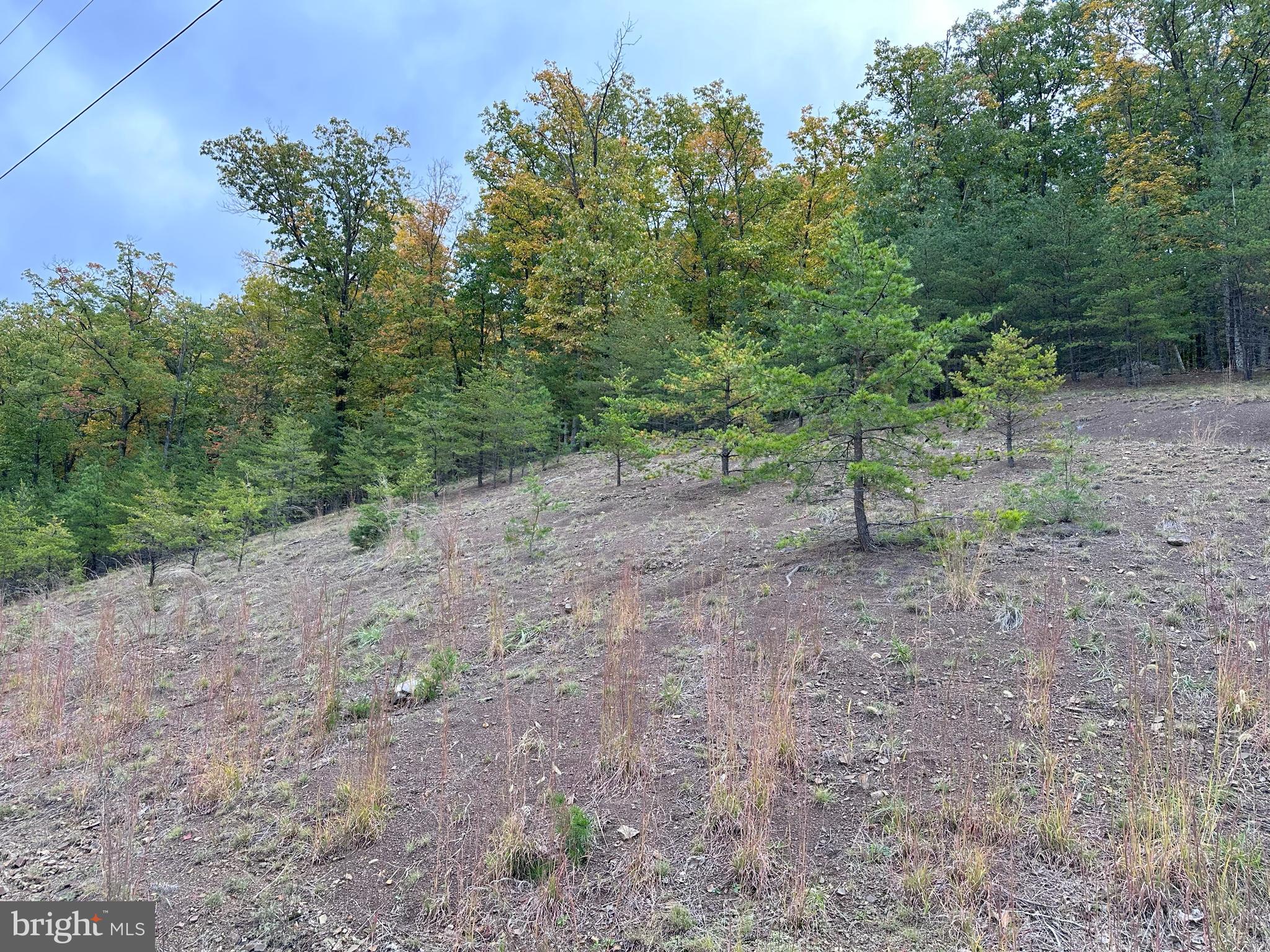 CARDINAL RIDGE ESTATES - Land