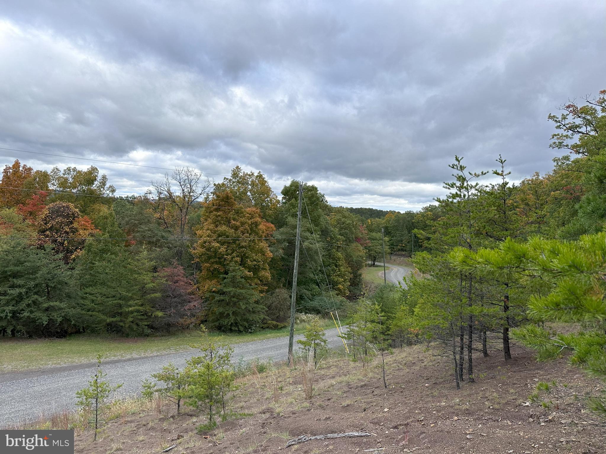 CARDINAL RIDGE ESTATES - Land