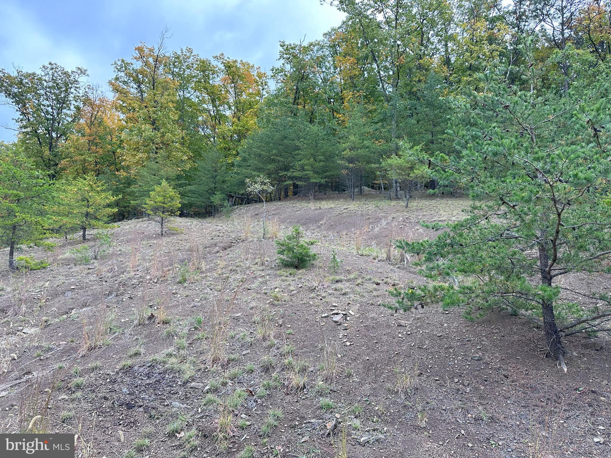 VERY NICE LOT IN VERY NICE GATED COMMUNITY. PRICED LESS THAN PURCHASE PRICE. PUBLIC WATER AVAILABLE.
