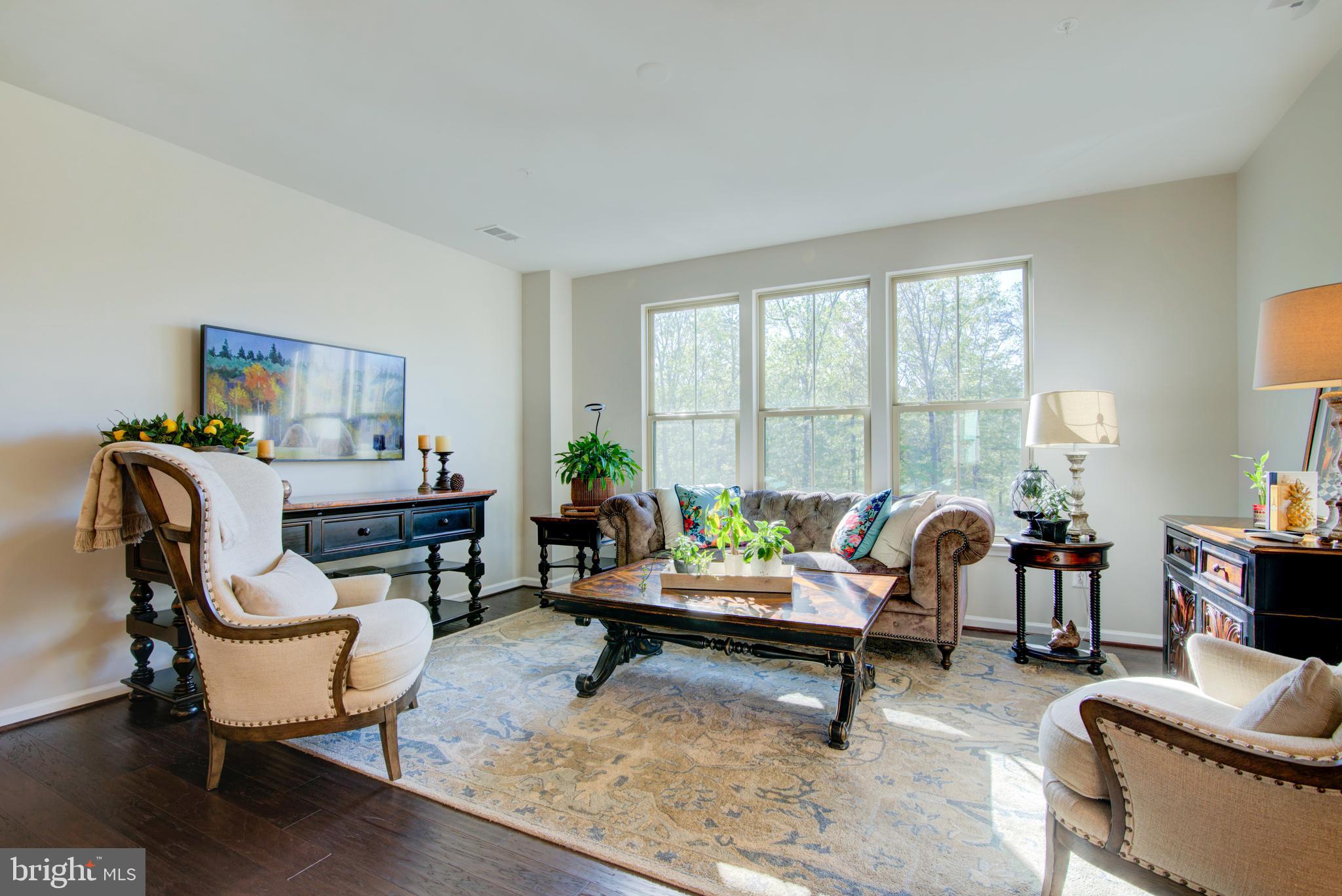 25337 CRESTED IRIS TERRACE