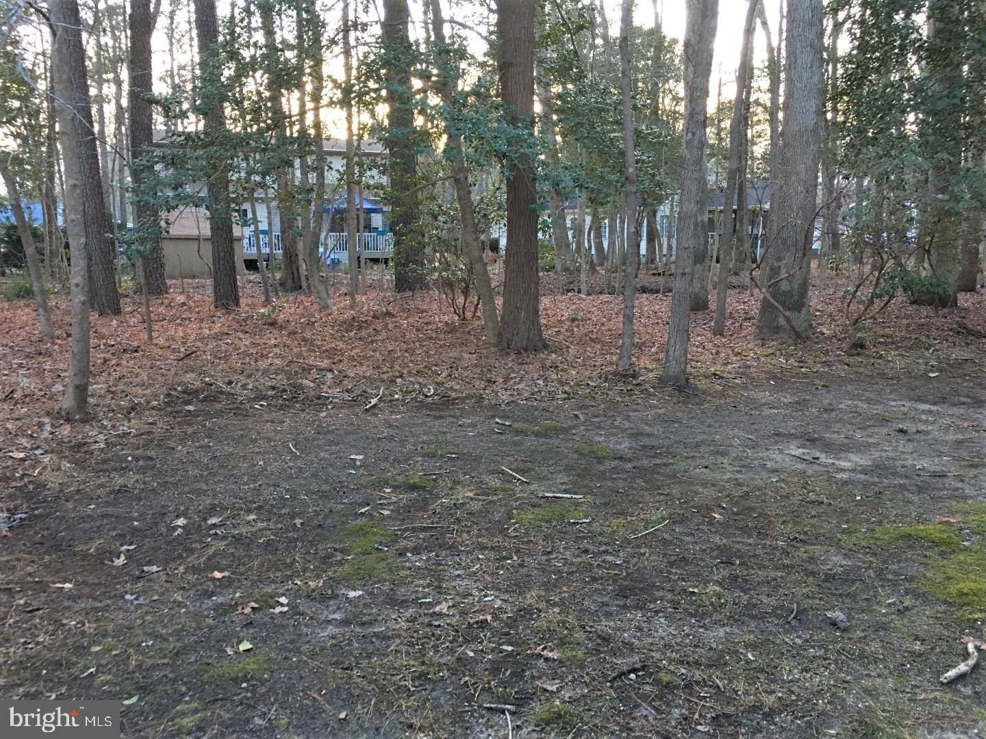 OCEAN PINES - SEABRIGHT - Residential