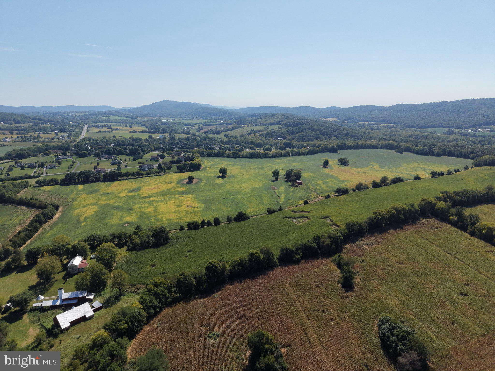 110+/- ACRES MT CARMEL CHURCH ROAD