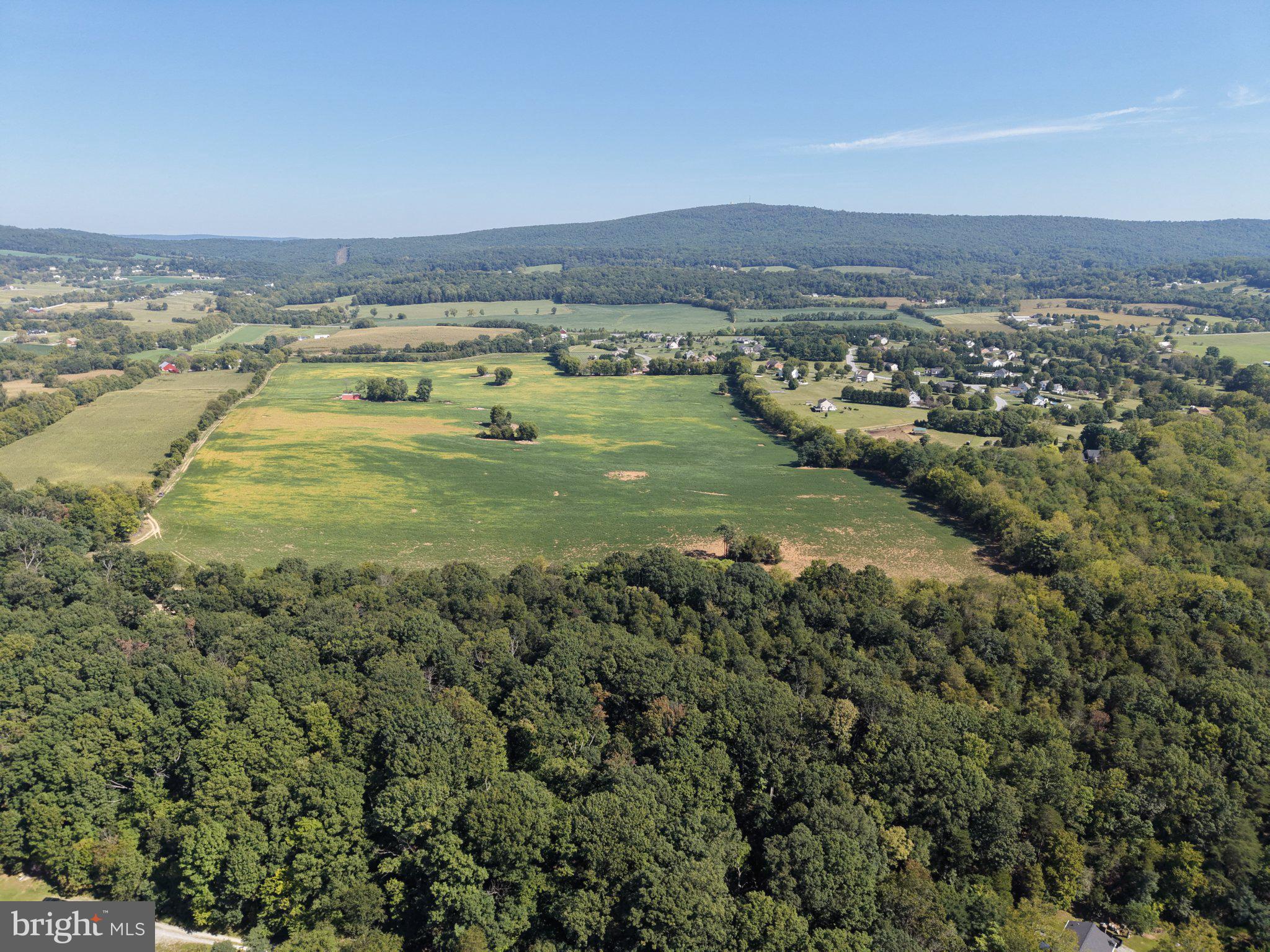 110+/- ACRES MT CARMEL CHURCH ROAD