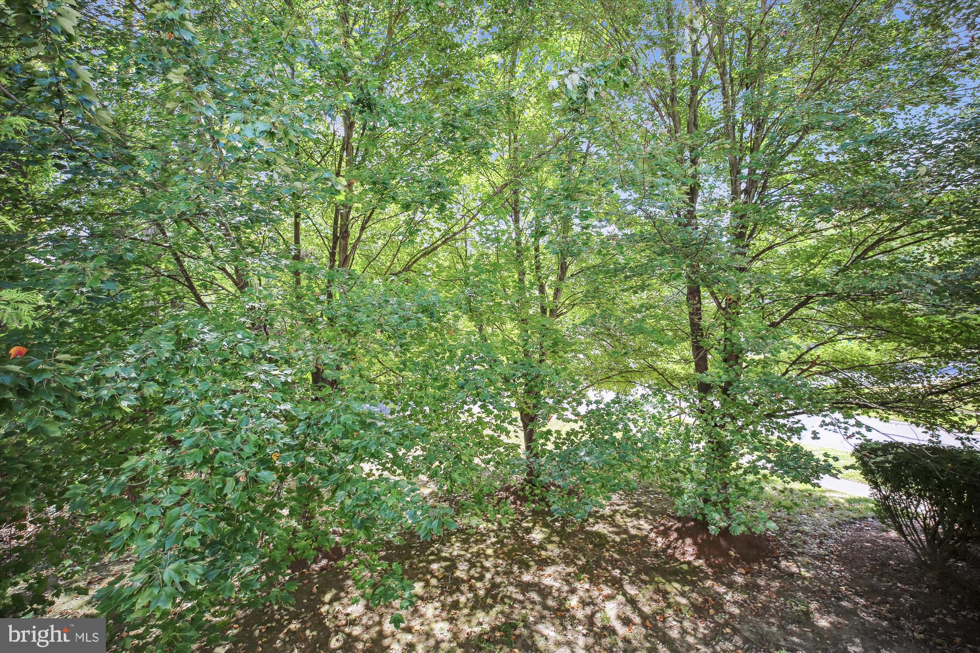 JAMES CREEK - Residential