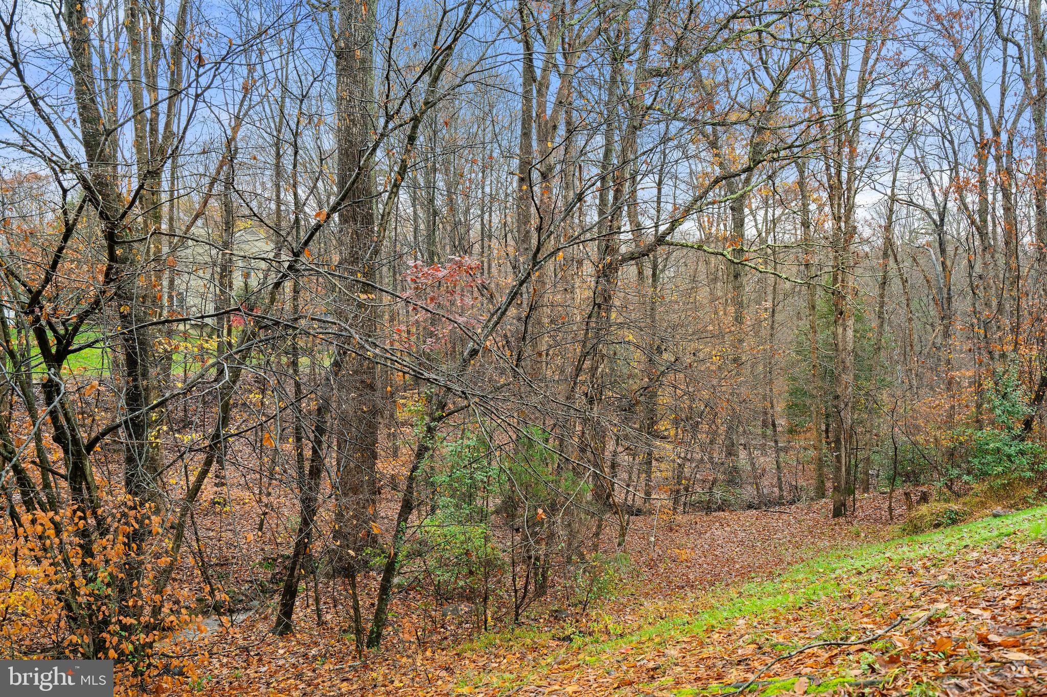 LAKE RIDGE - Residential Lease