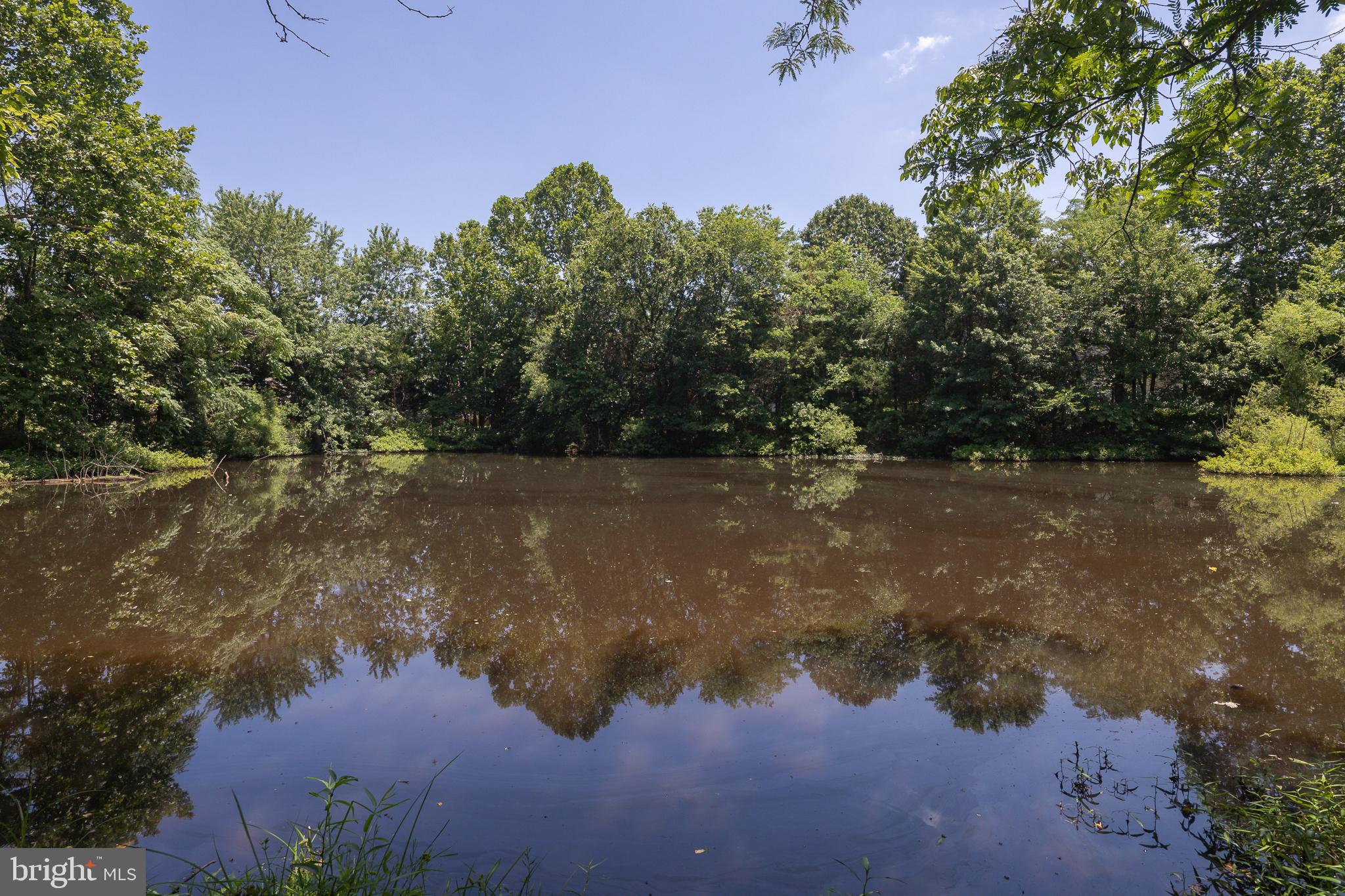 DOMINION VALLEY COUNTRY CLUB - Residential