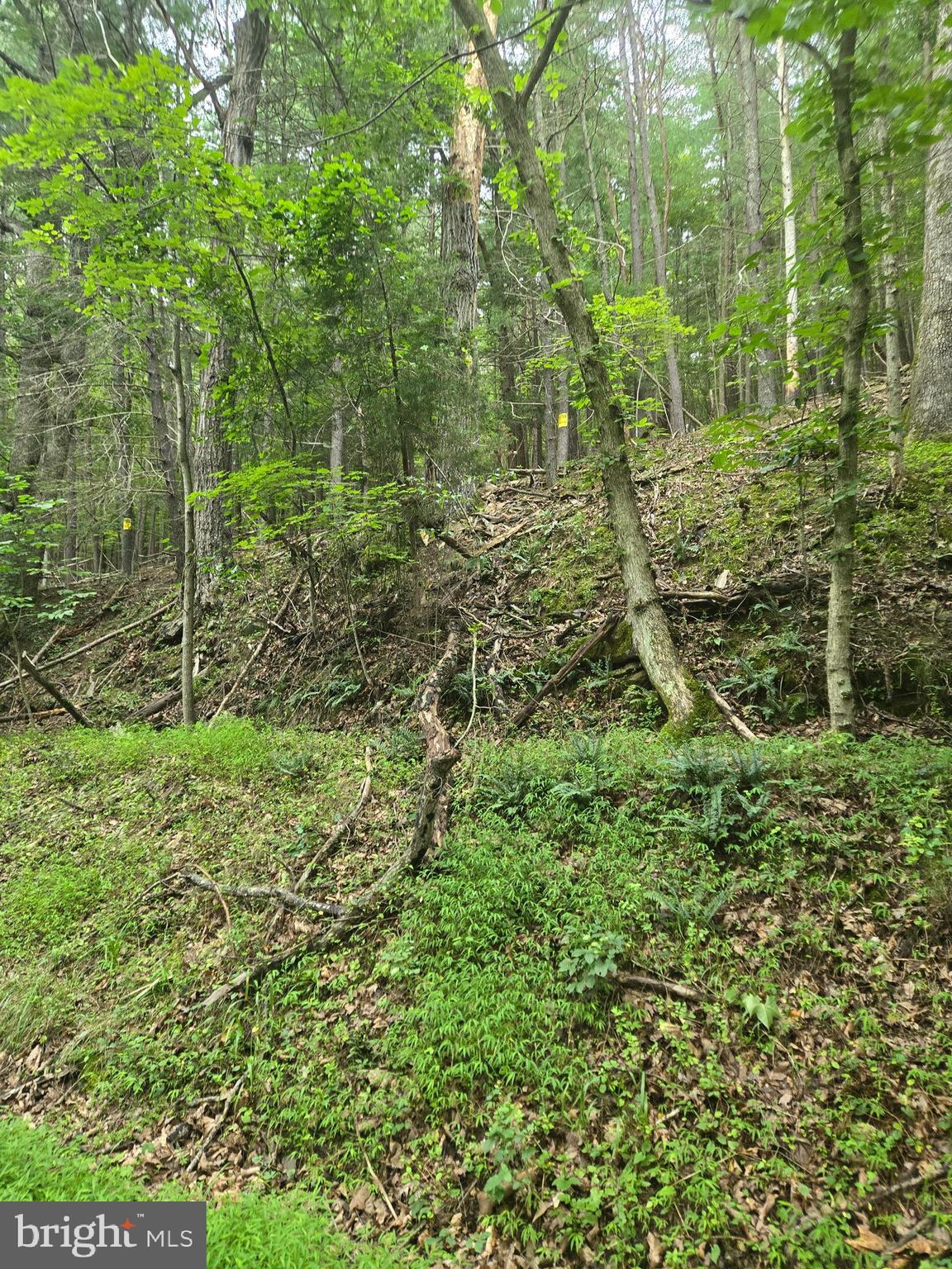MOUNTAIN RUN ROAD