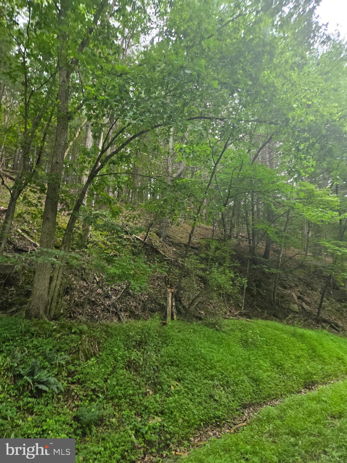 MOUNTAIN RUN ROAD