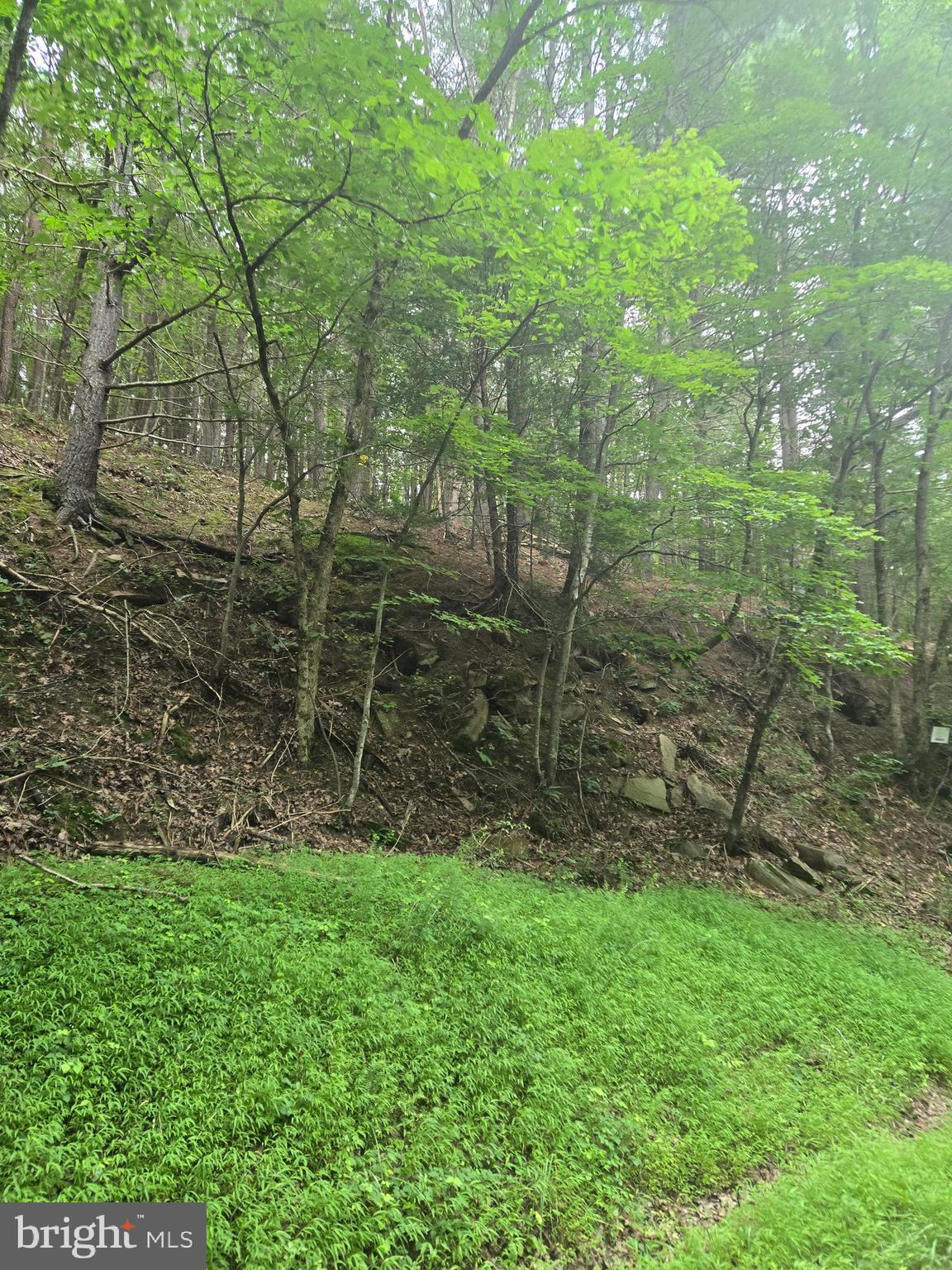 MOUNTAIN RUN ROAD