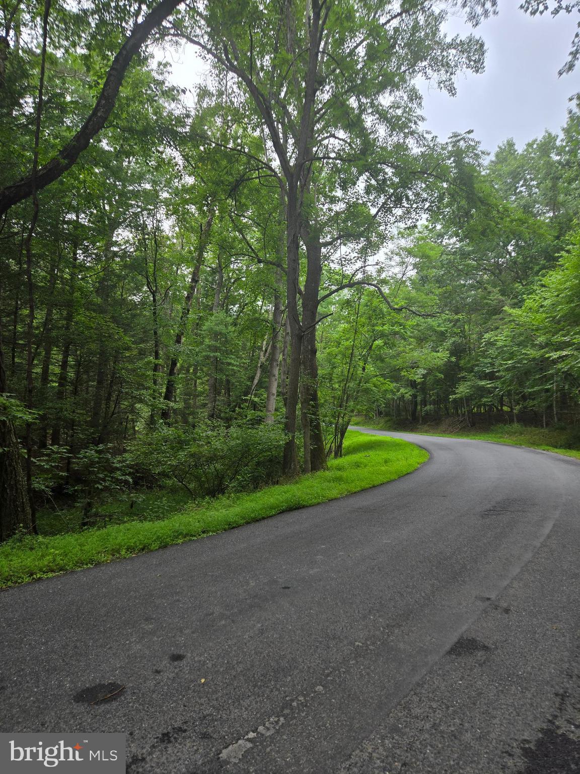 MOUNTAIN RUN ROAD