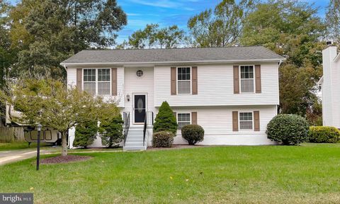 20751 WOLFTRAP STREET LEXINGTON PARK MD 20653