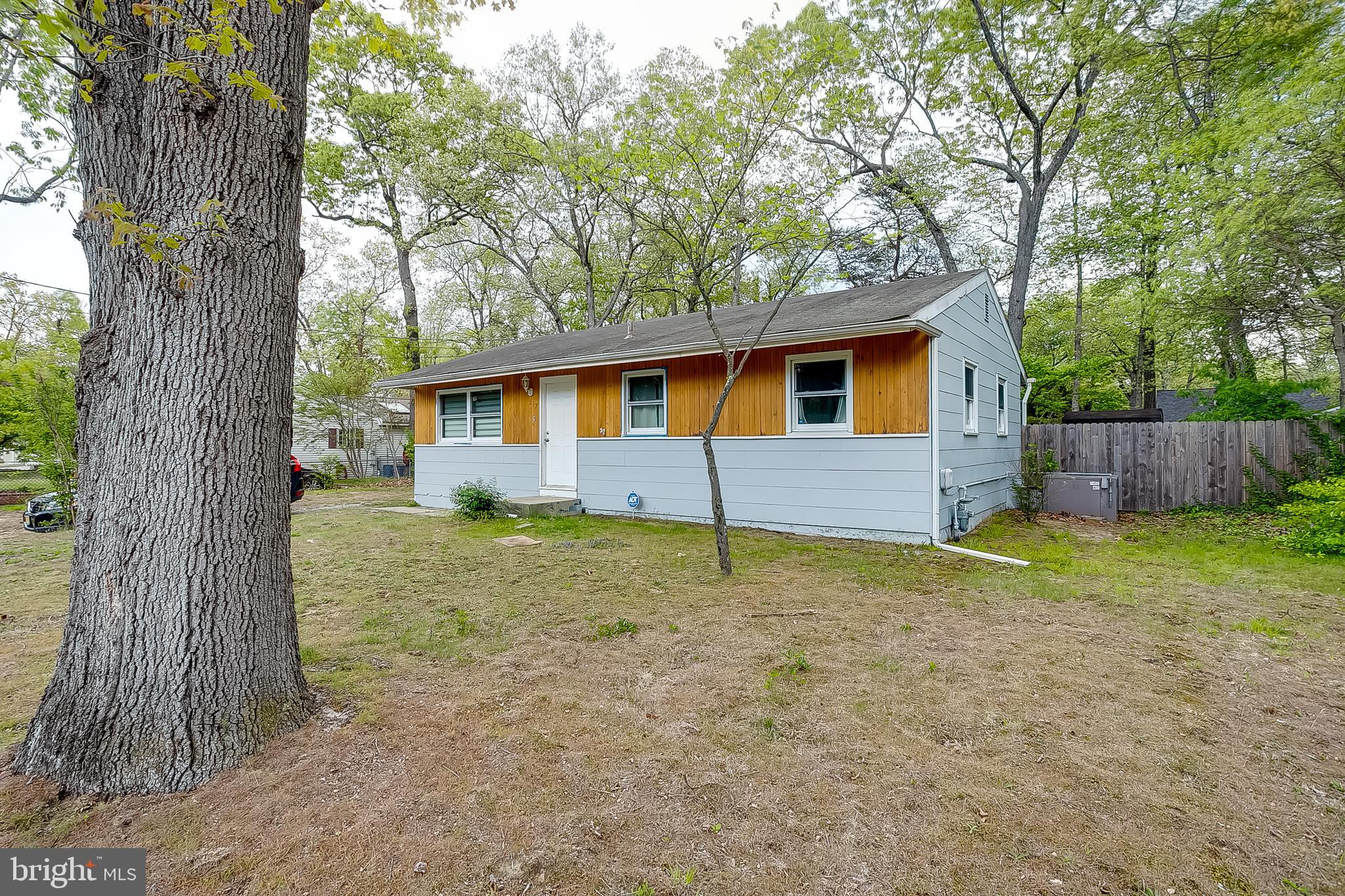 317 TIMBERLINE DRIVE