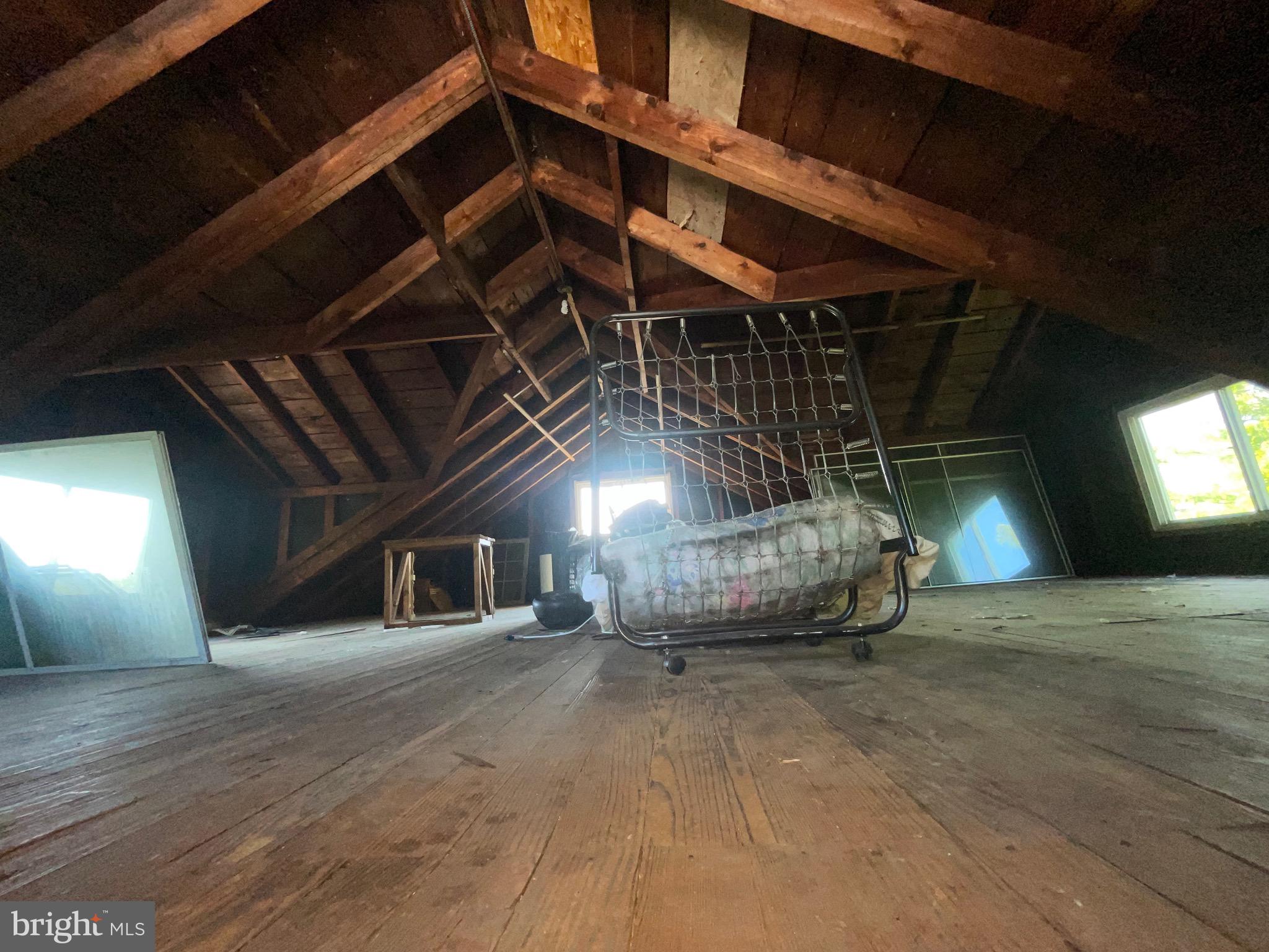 MT RAINIER - Residential