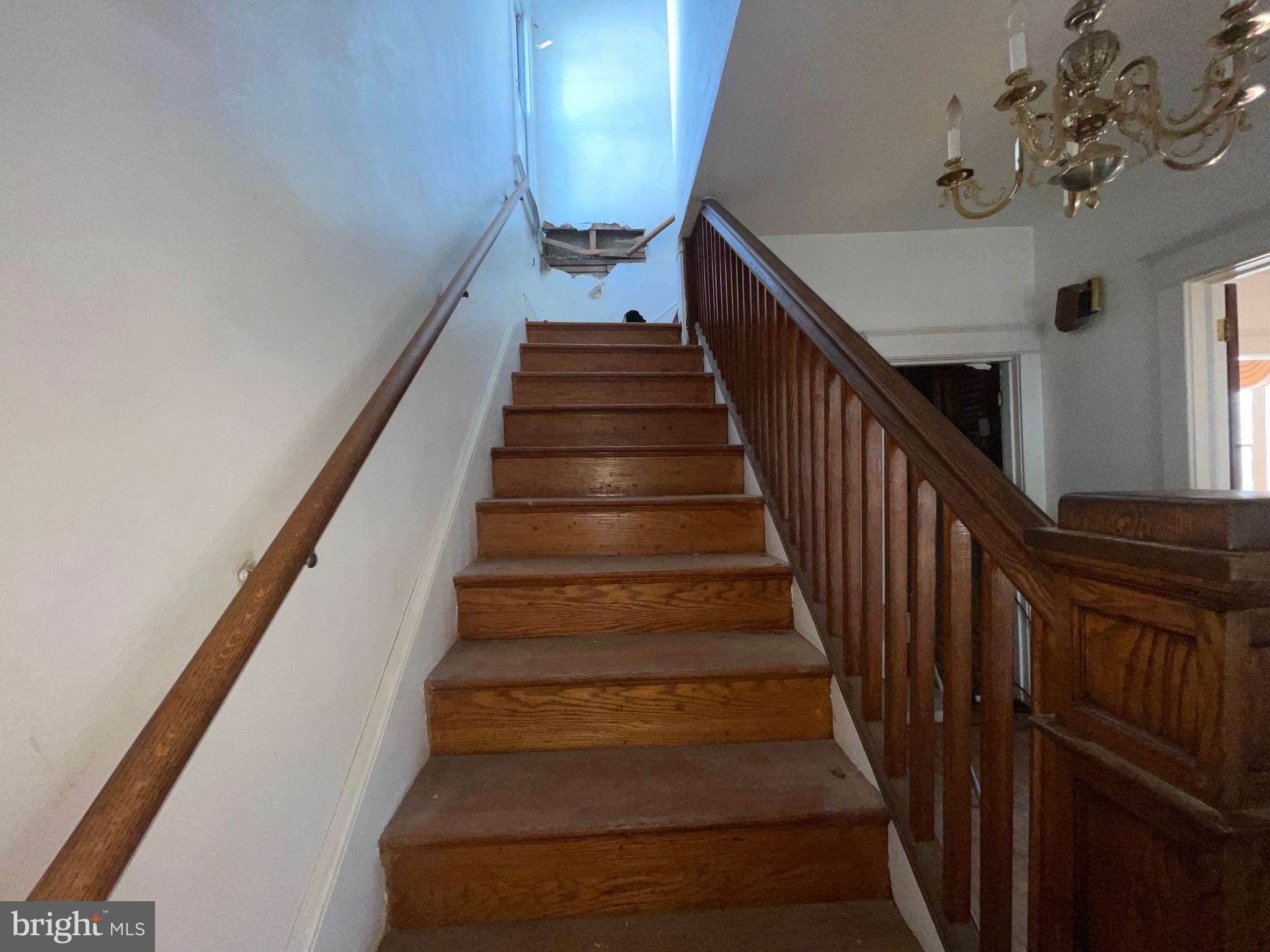 MT RAINIER - Residential