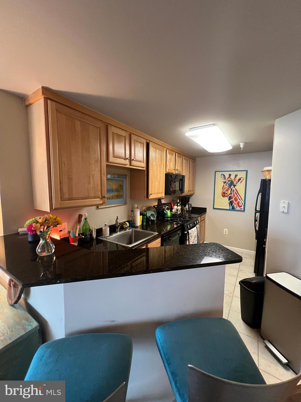 GALLERY AT WHITE FLINT - Residential Lease