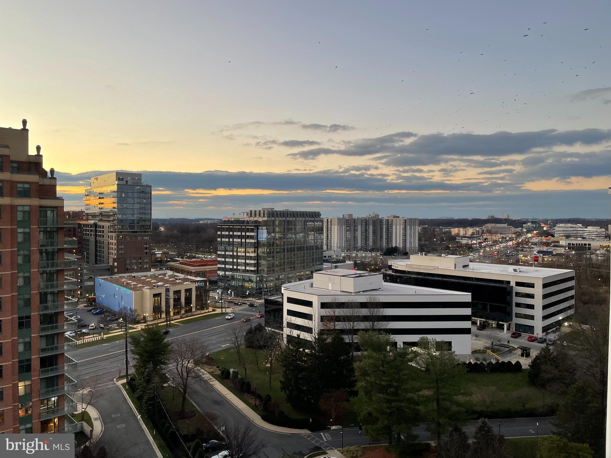 GALLERY AT WHITE FLINT - Residential Lease