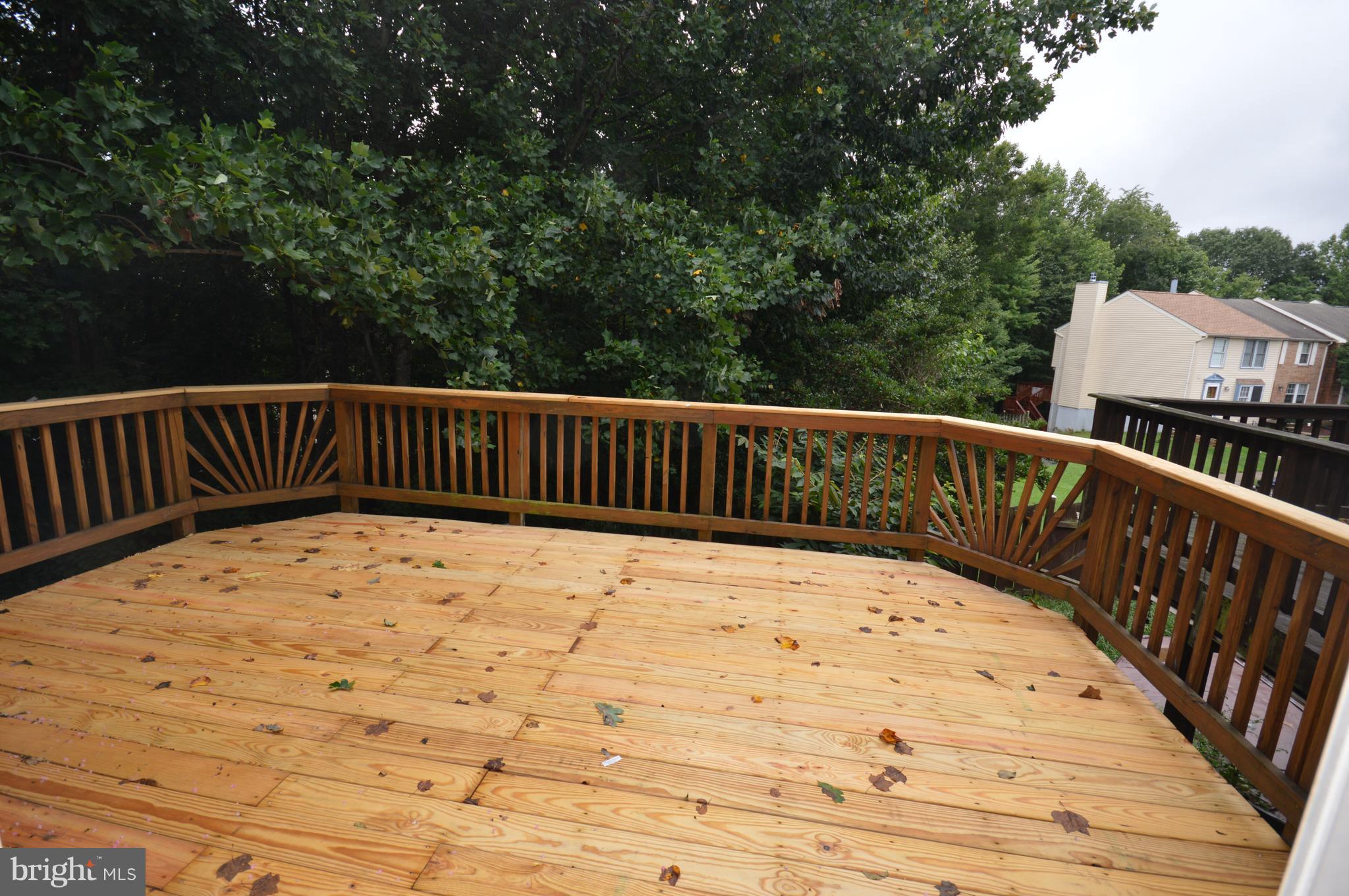 HOLLYMEAD - Residential Lease