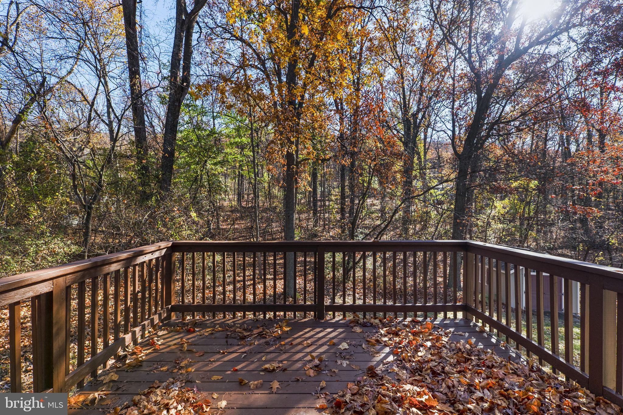 BLUE RIDGE ACRES - Residential