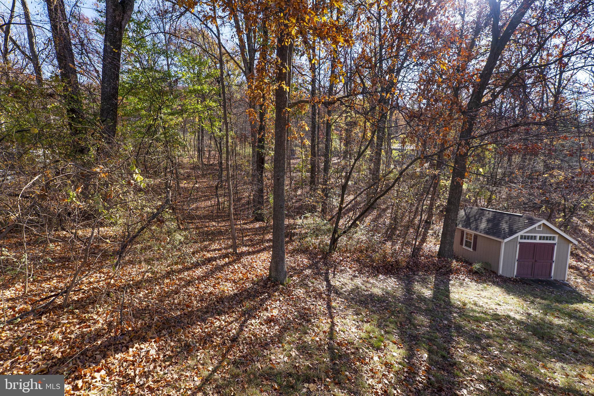 BLUE RIDGE ACRES - Residential