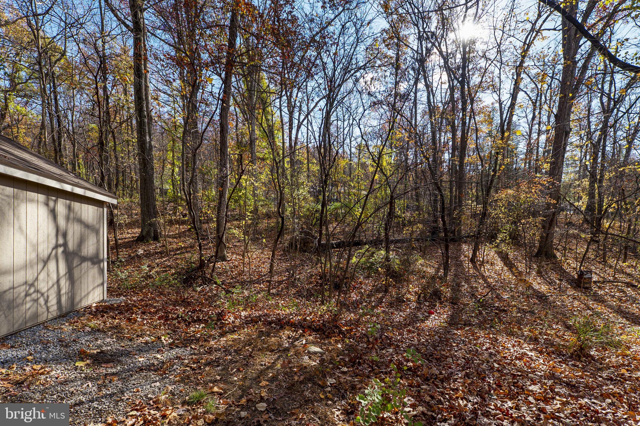 BLUE RIDGE ACRES - Residential