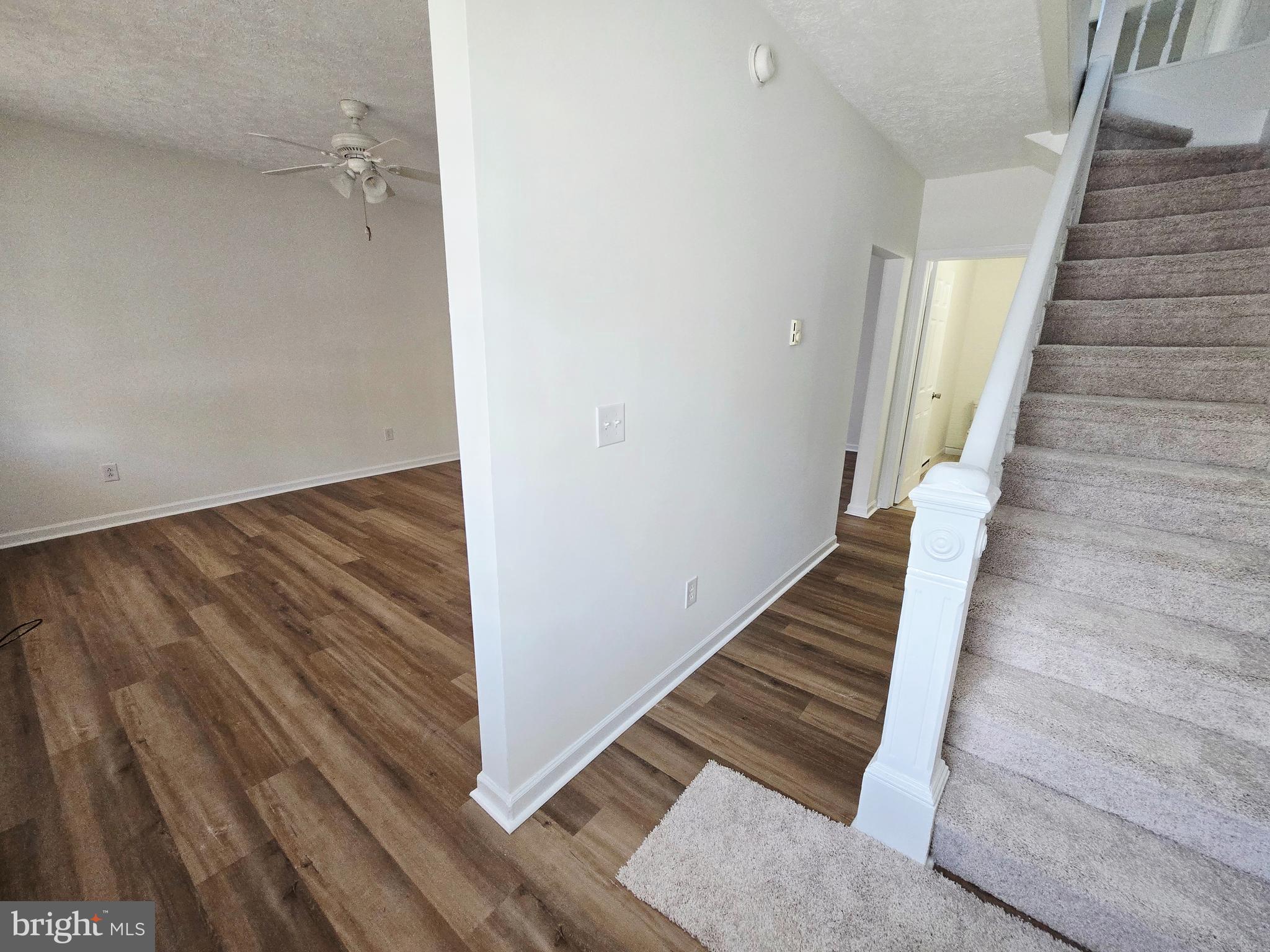 229 CARROLL STREET