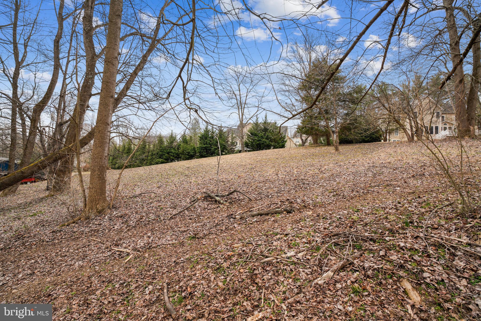 CLARKSVILLE HUNT - Residential