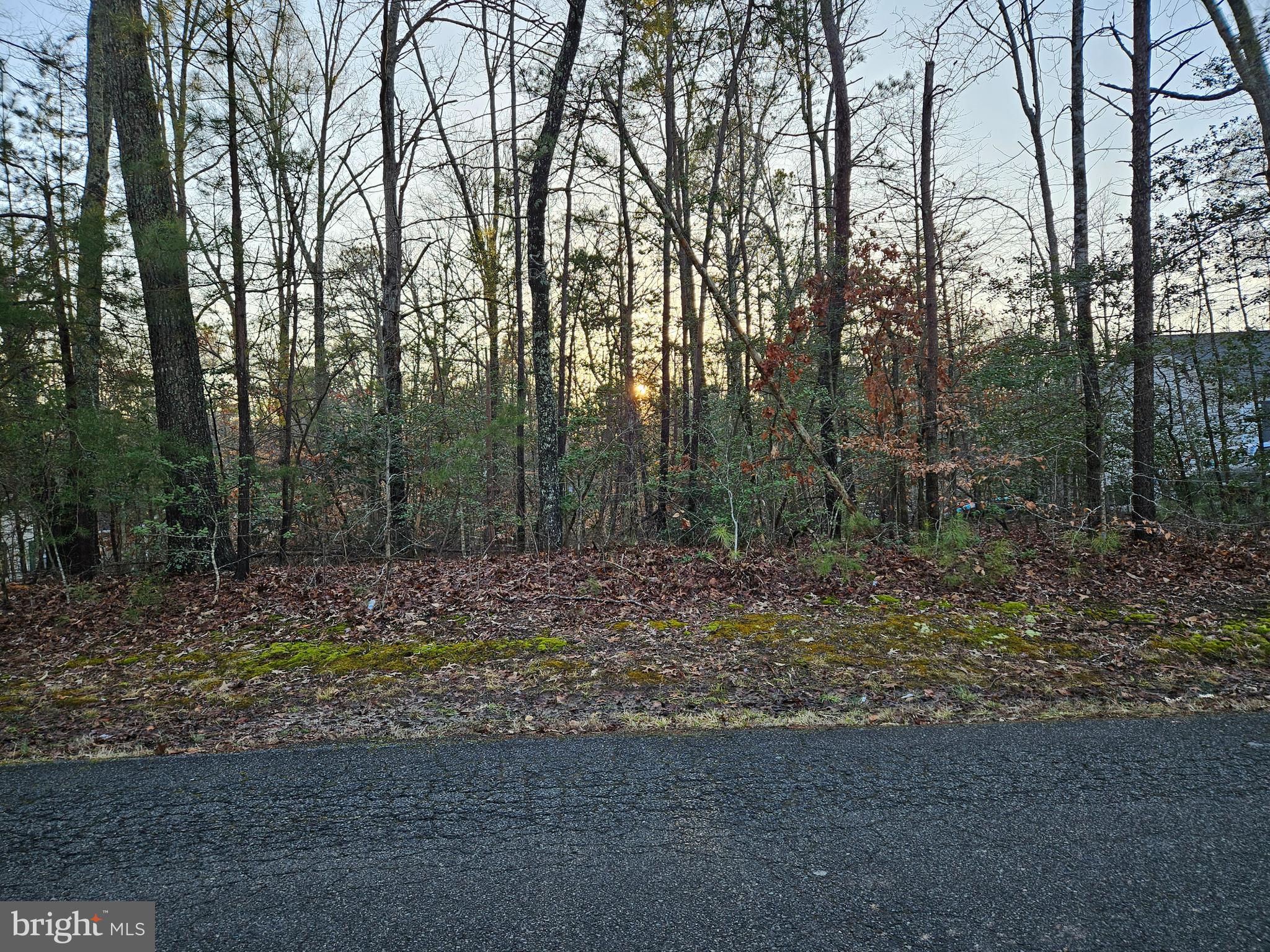 291 LAND OR DRIVE