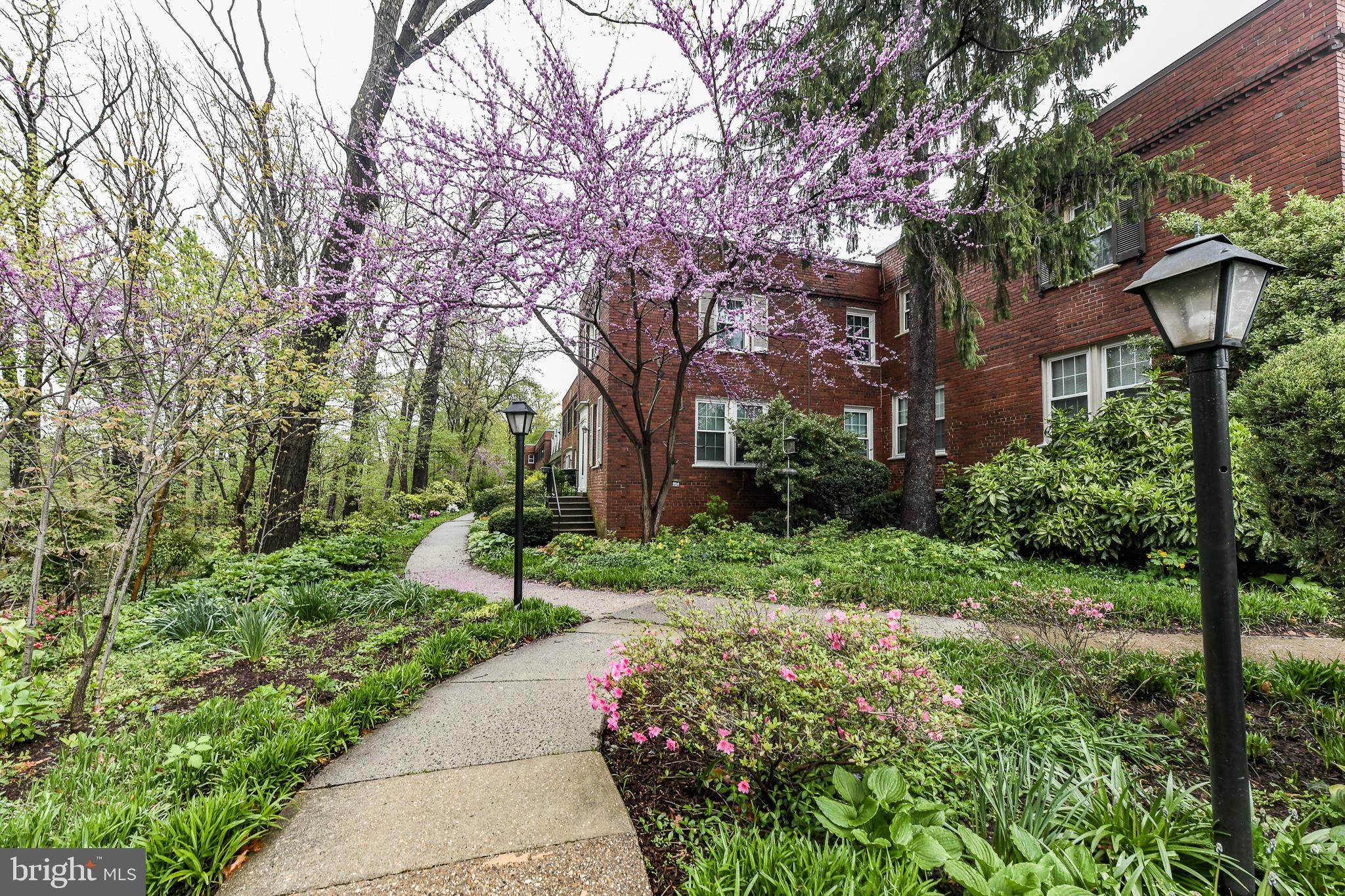 Charming End-unit 3BR townhome-condo hybrid in sought-after historic Arlington Village! Upslope from the creek with view of the ravine and trees*Hardwood floors through main & upper level*Spacious bedrooms*Extra Storage*Sunny kitchen with water filtration & lots of cabinetry for storage*Laundry Rm w/energy efficient Washer & Dryer*So close to pool, tennis & public transportation*EASY commute to DC! *Amazon HQ2 less than 3 miles! Weekend Farmer's Market is just steps away*OWNER WILL CONSIDER A SMALL DOG UNDER 30LBS ON A CASE BY CASE BASIS. NO CATS*
AVAILABLE 7.7.2025