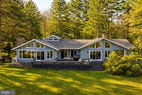 701 SHORELINE DRIVE SWANTON MD 21561