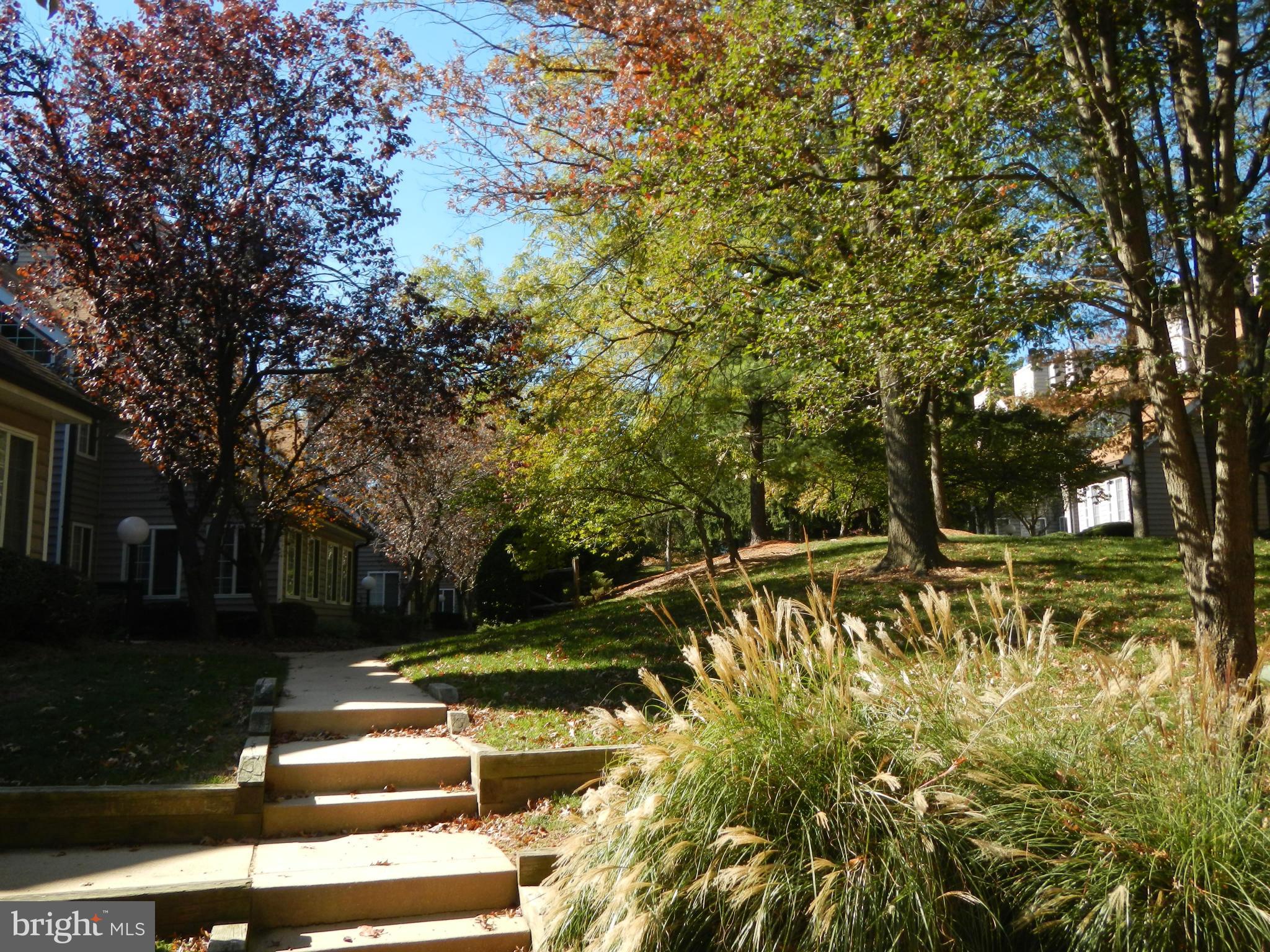 TIERS AT WHEATON - Residential Lease