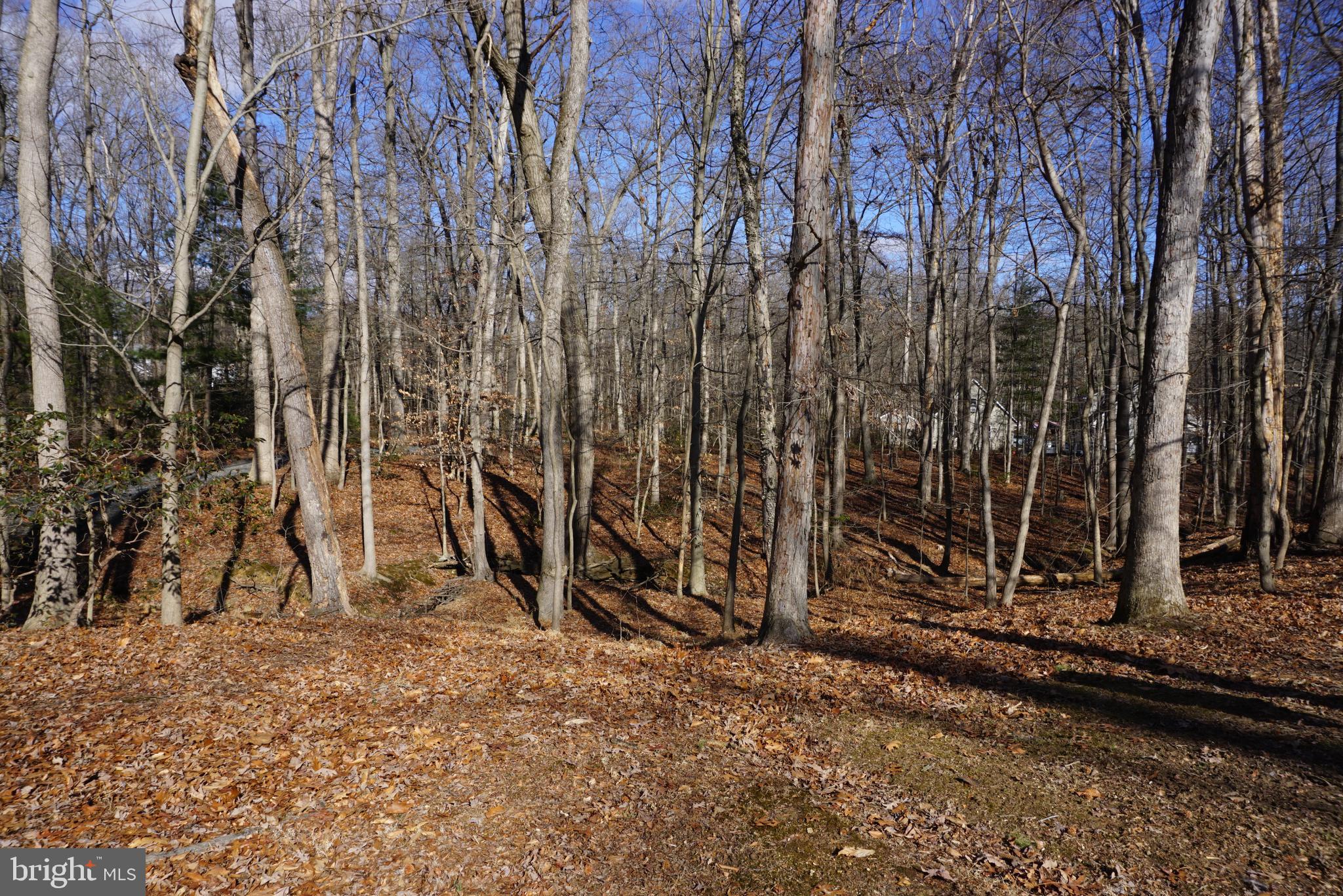 1001 NOTTINGHAM ROAD