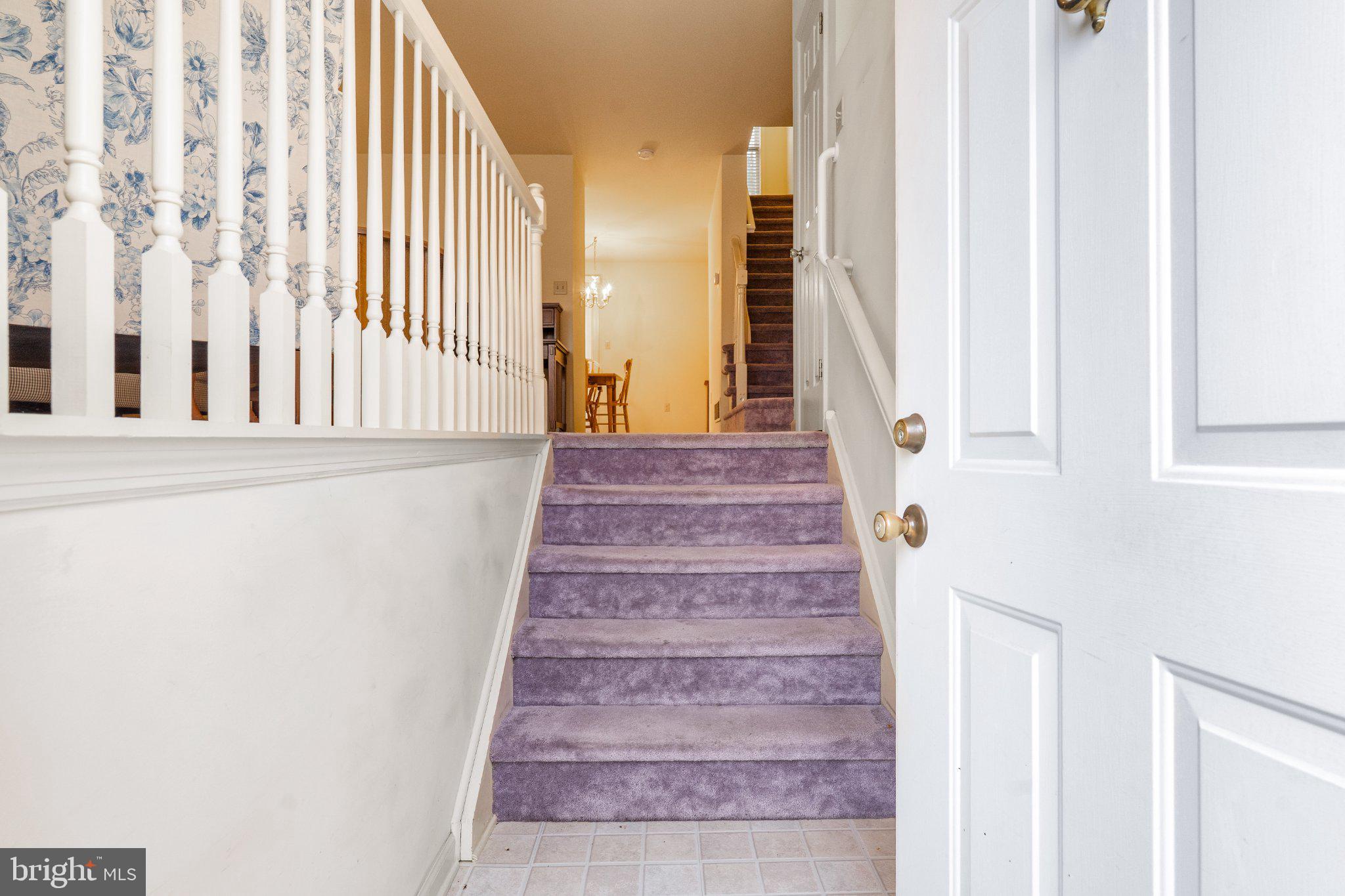 8 THYME STREET