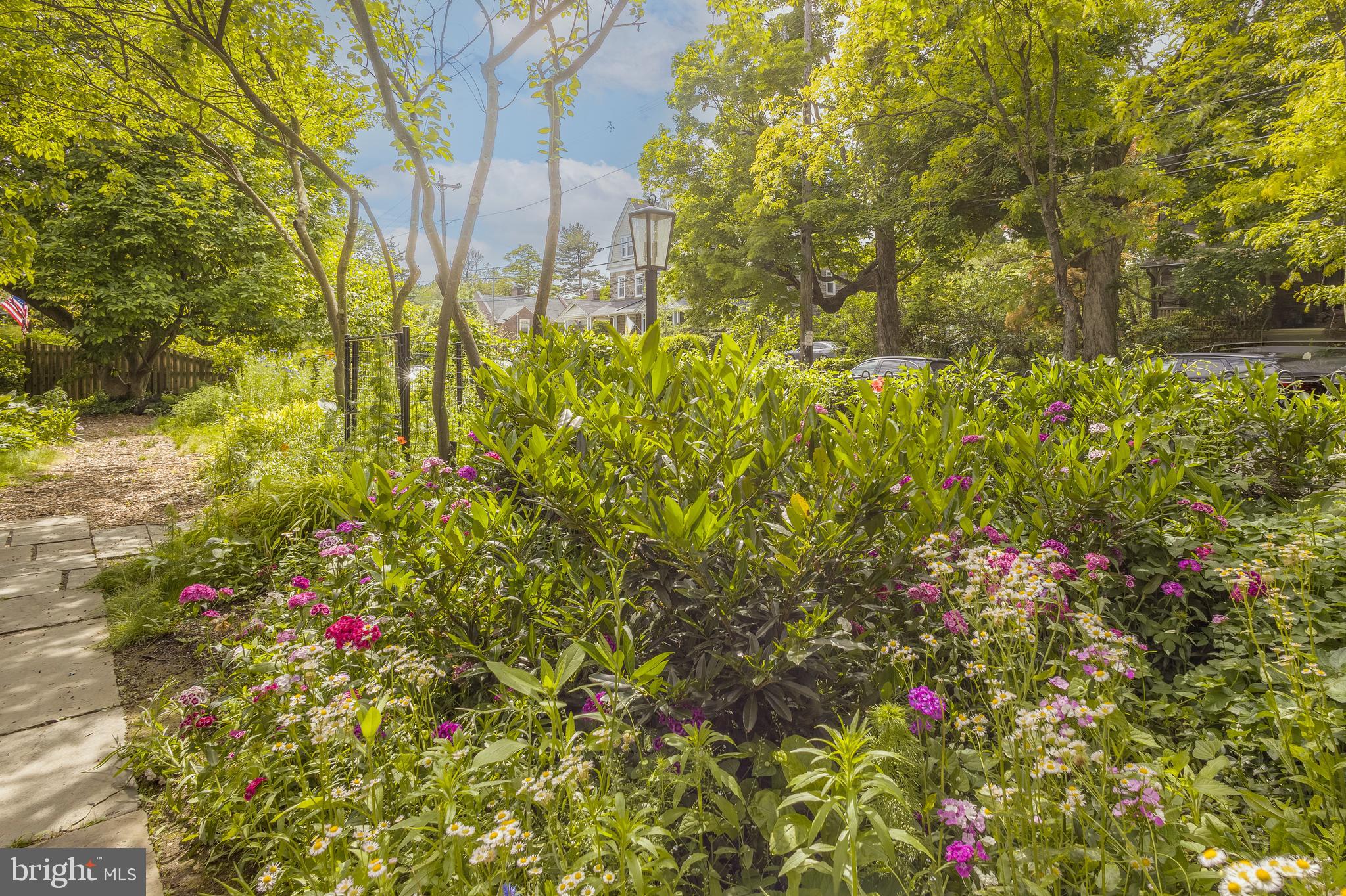 CHESTNUT HILL - Residential