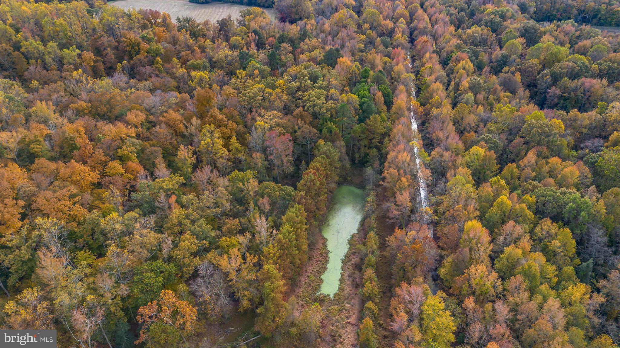 OLD SYCAMORE ESTATES - Residential