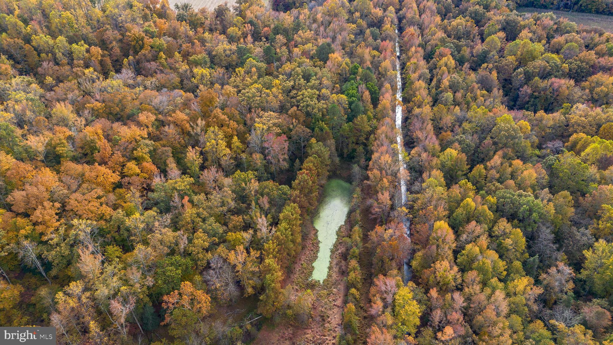 OLD SYCAMORE ESTATES - Residential
