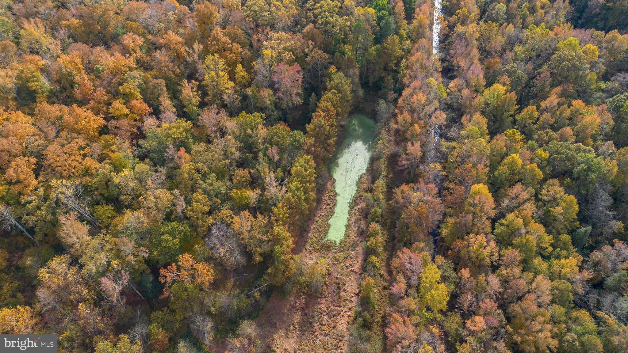 OLD SYCAMORE ESTATES - Residential