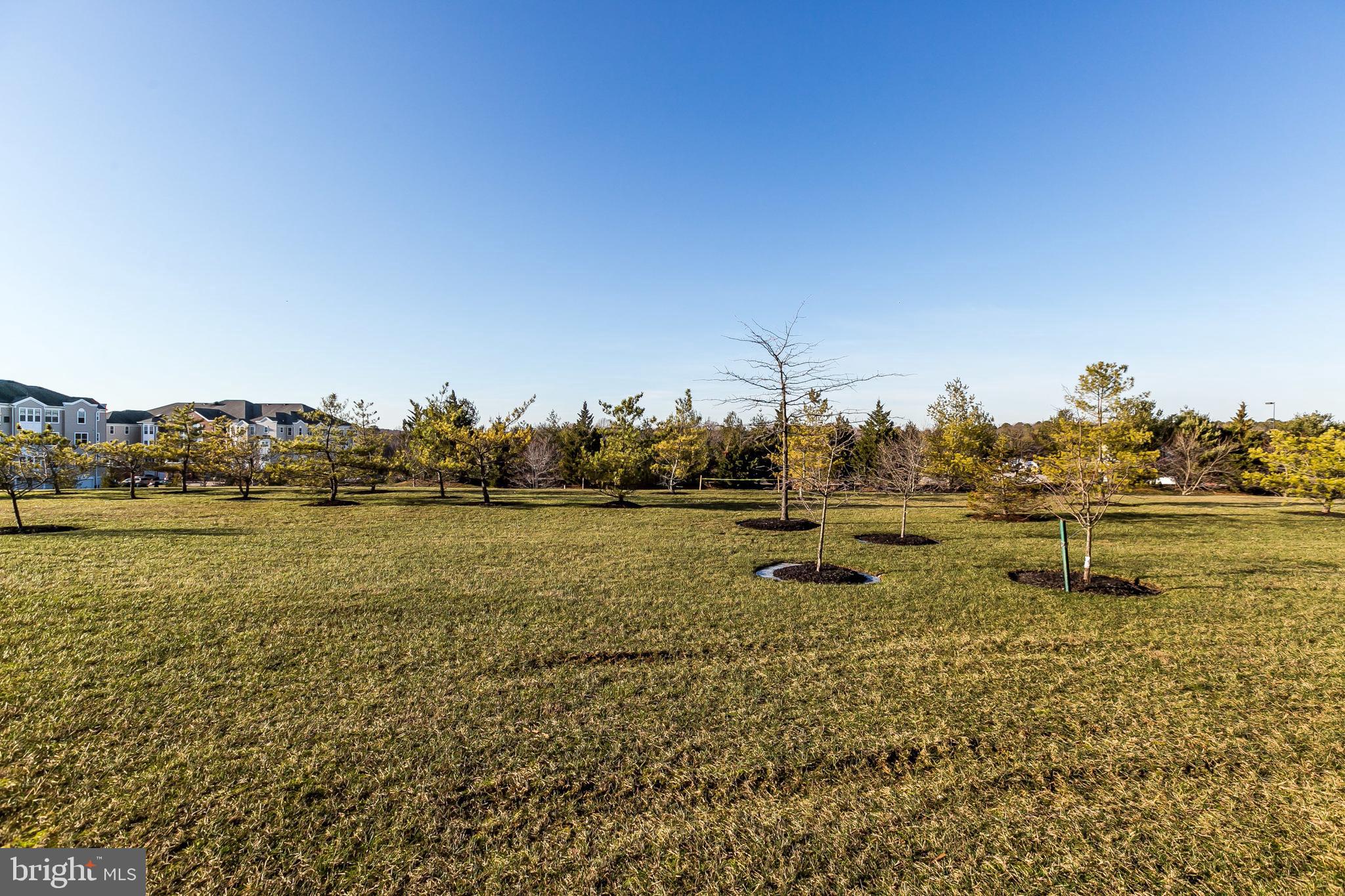 PINEY ORCHARD - Residential