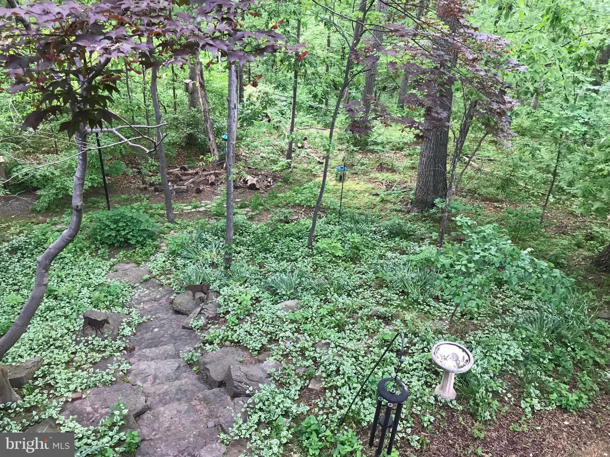 SHAKER WOODS - Residential