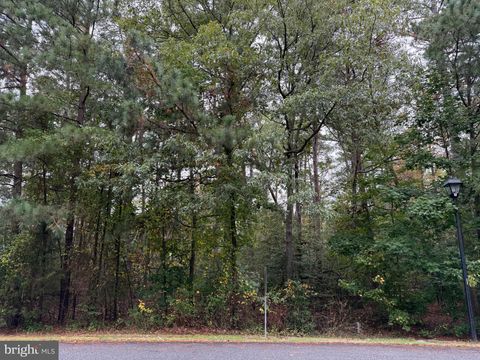 Vacant Land For Sale - 11240 Lord Baltimore Drive<br/> ISSUE, MD 20645