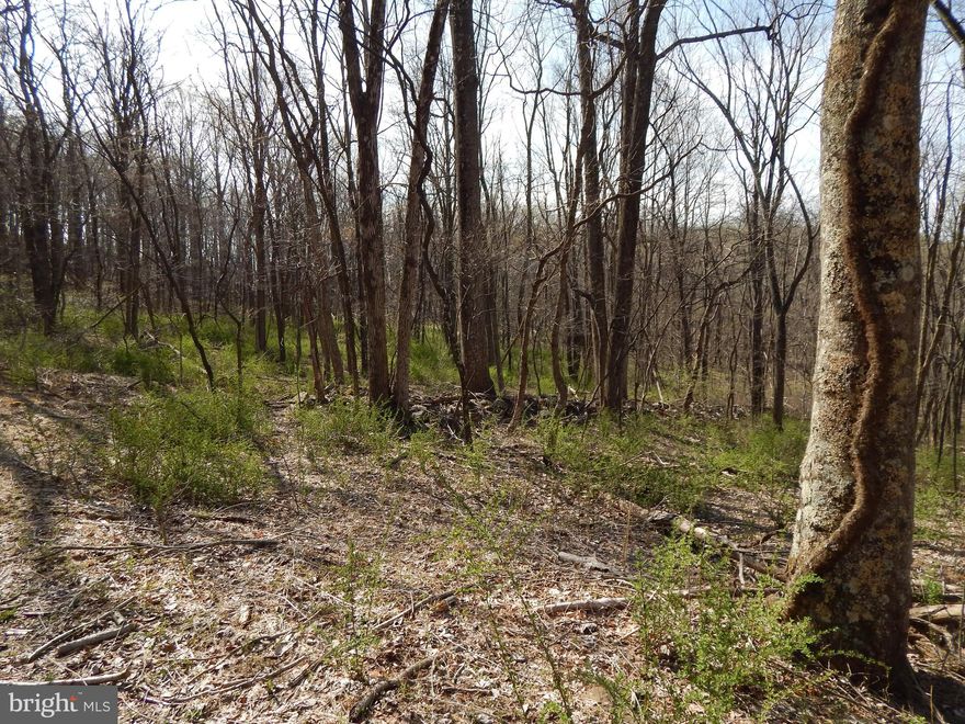 PRIME LOCATION  Just 2/10 M from Coolfont, this property contains 3 adjoining wooded lots, totalling 8.63 Acres.   Build on one and sell remaining 2  or keep all as a buffer against close neighbors,   Perc records on file and ready for you to obtain a septic permit, just bring your house plans.  Less than 5 M to downtown Berkeley Springs for shopping, spas, and restaurants.   7/10  M Coolfont Resort for restaurant, indoor pool (cost for membership) and nearby brew pub.      7 M to Cacapon State Park featuring restaurant, 18 Hole  Golf Course and 6000 acres of outdoor activities for the entire family.  Only 6 restrictions.