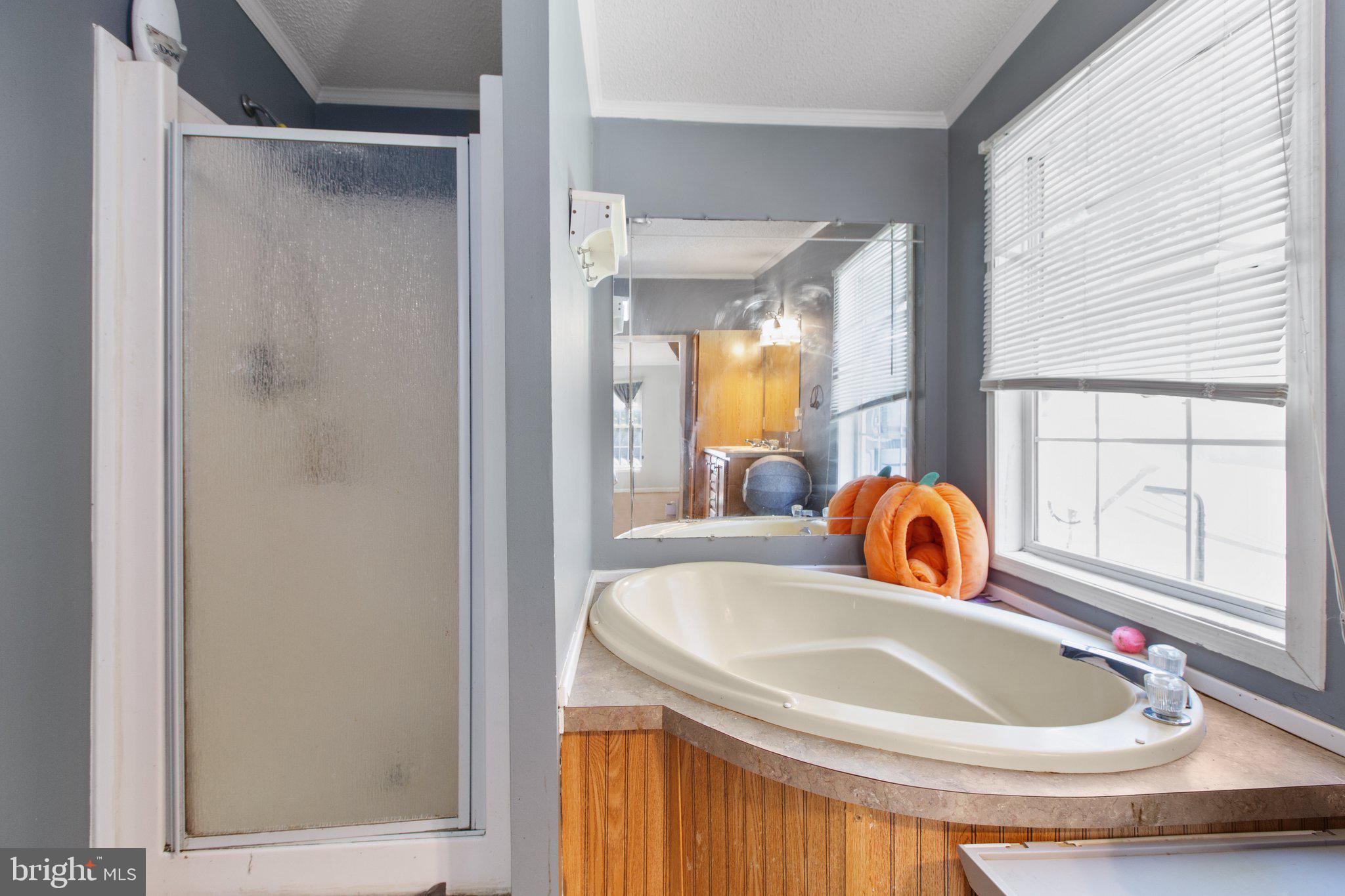 RAPIDAN HILLS - Residential