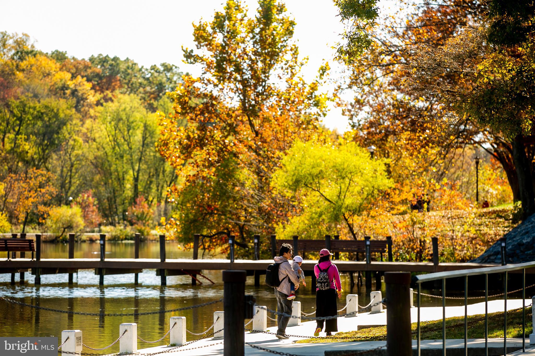 ELKRIDGE HEIGHTS - Residential