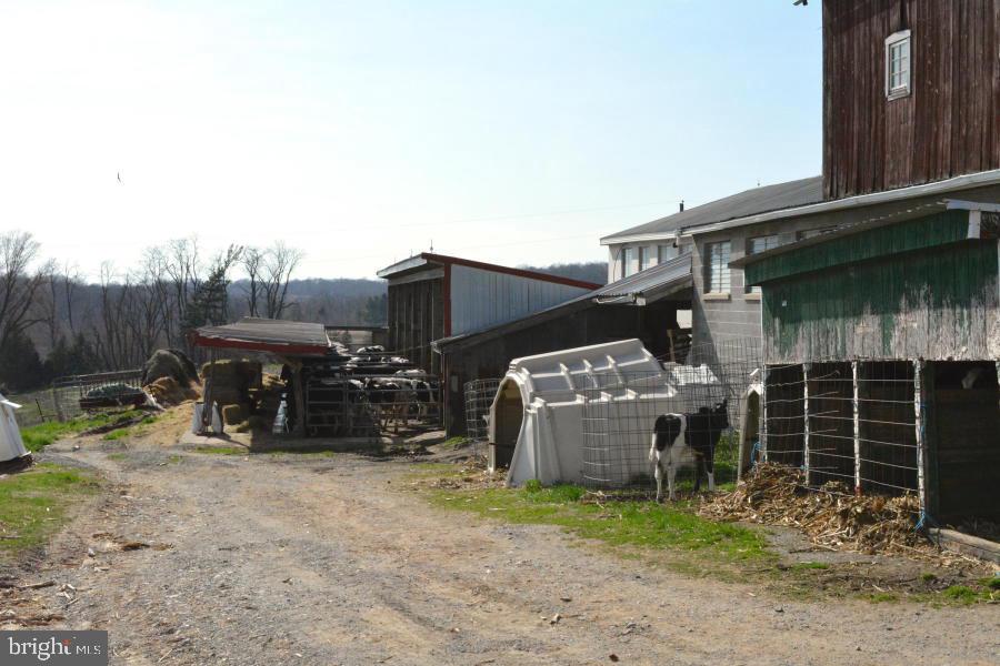 NONE AVAILABLE - Farm