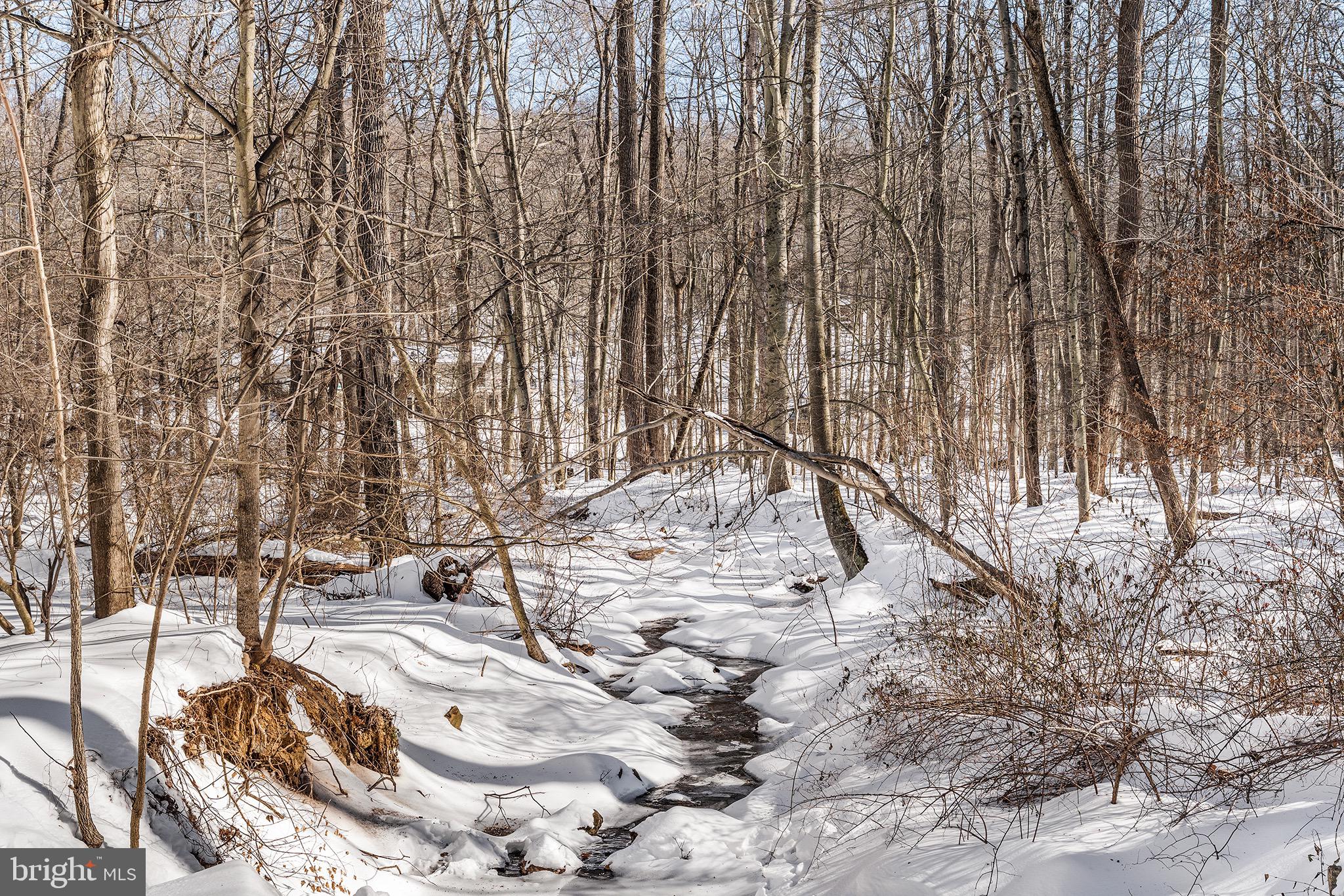 HUNTVIEW AT HORSES - Residential