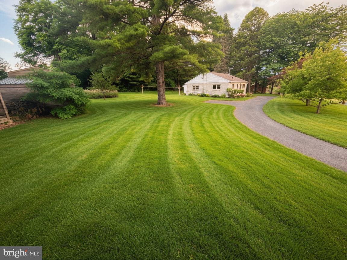 201 MARSH DRIVE