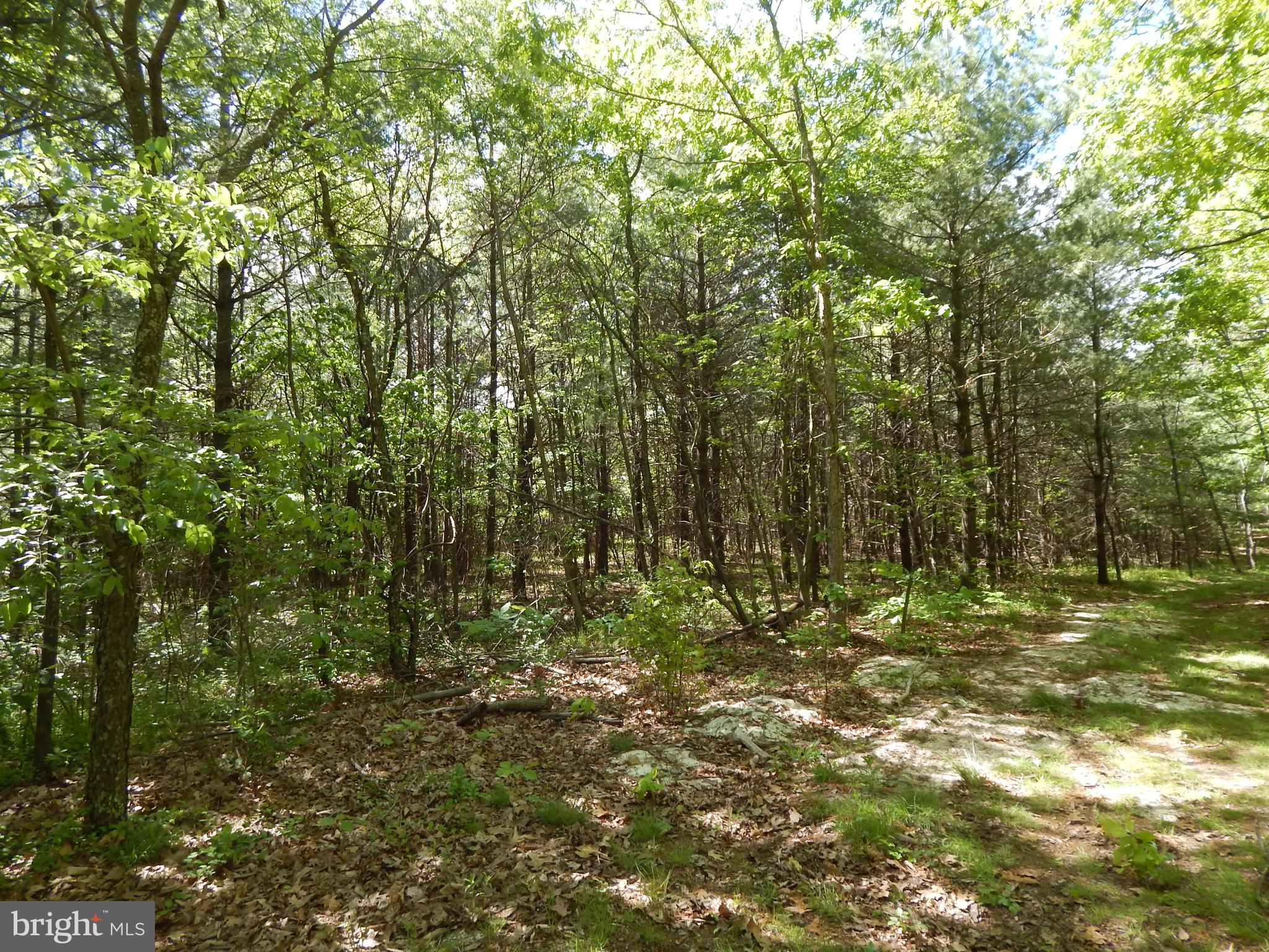 NONE AVAILABLE - Land