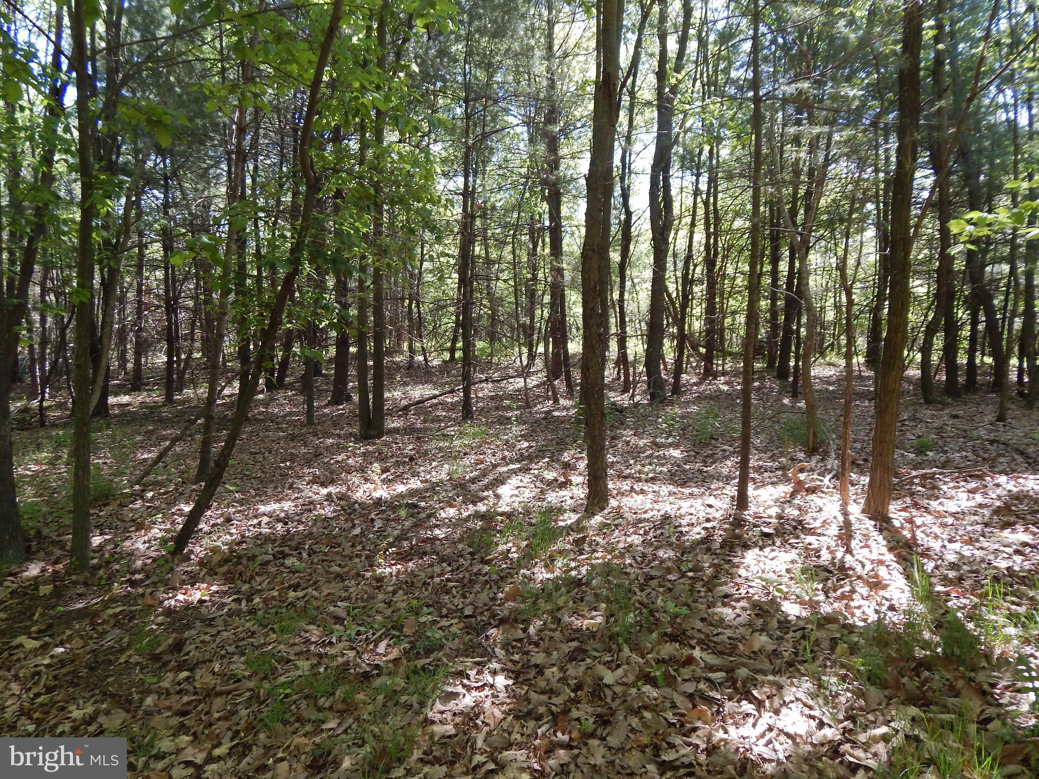 NONE AVAILABLE - Land