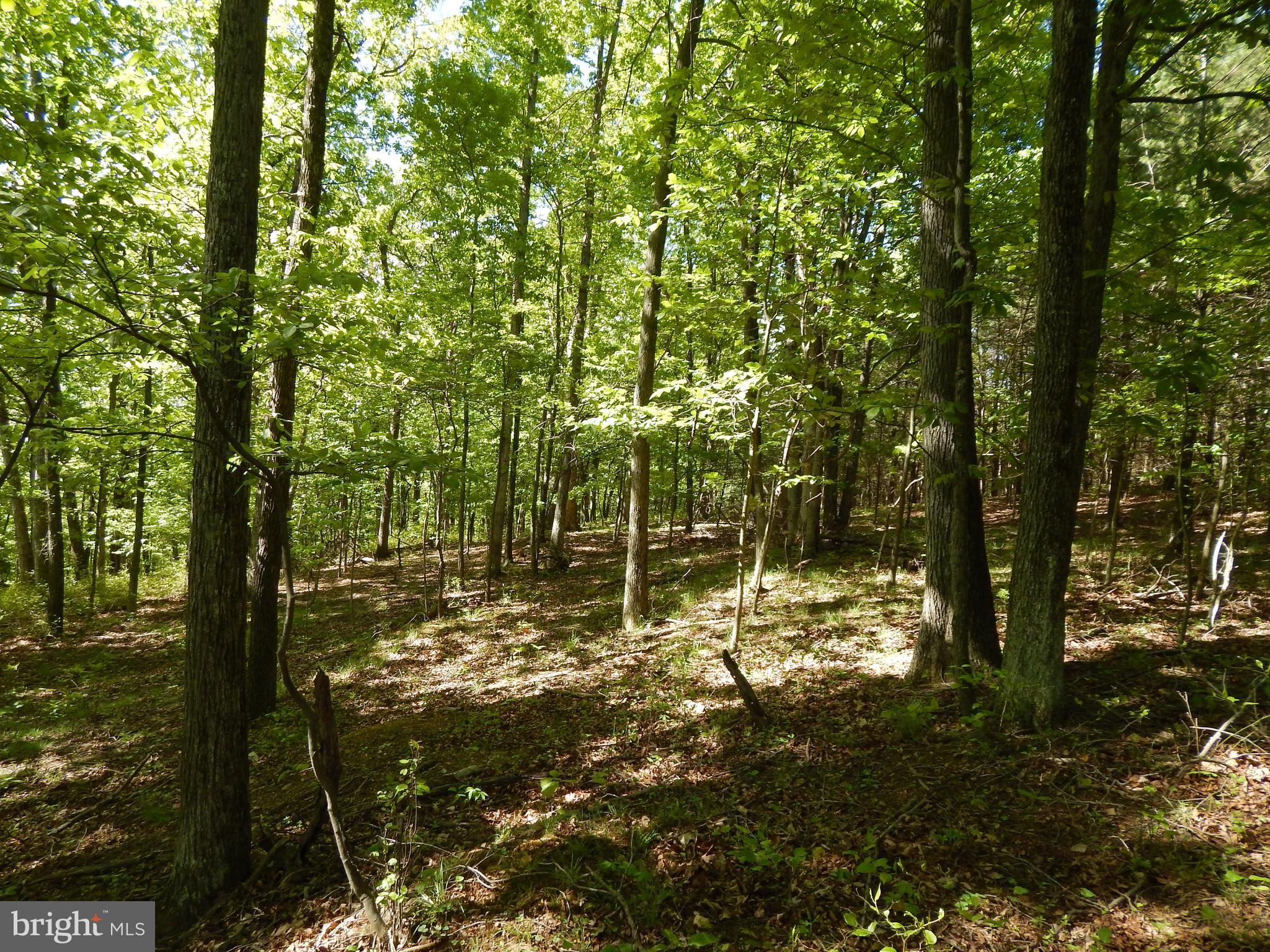 NONE AVAILABLE - Land